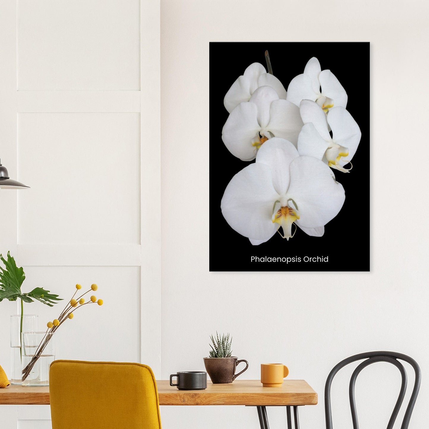 White Phalaenopsis Orchid Canvas Print