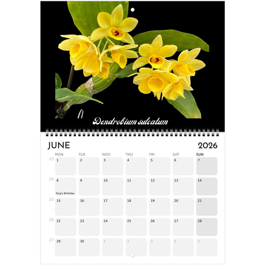 Species Orchids 2026 Calendar