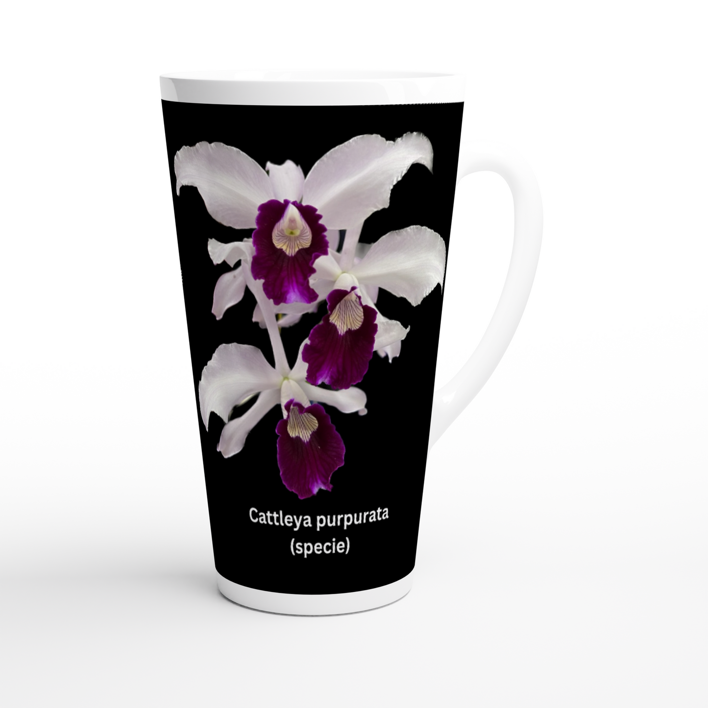 Cattleya purpurata Orchid Latte Mug