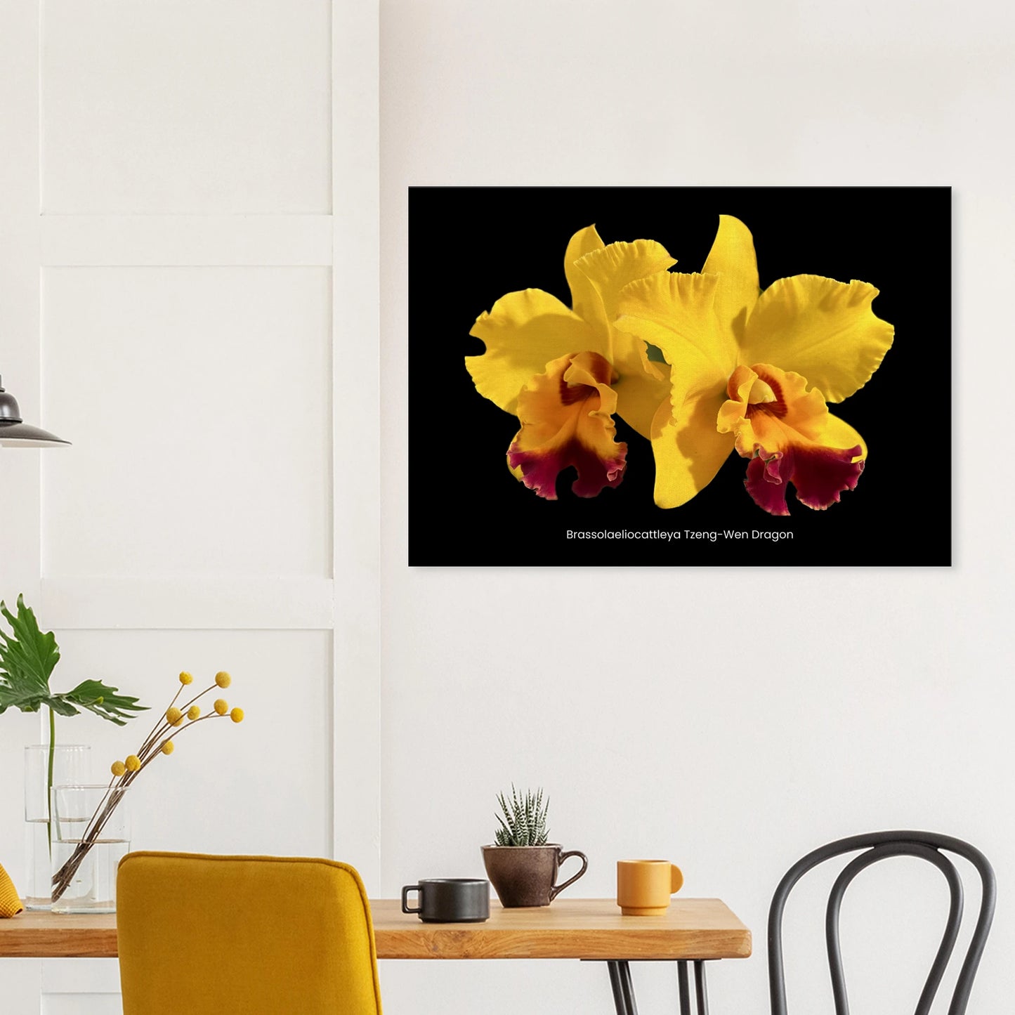 Blc. Tzeng-Wen Dragon Orchid Canvas Print