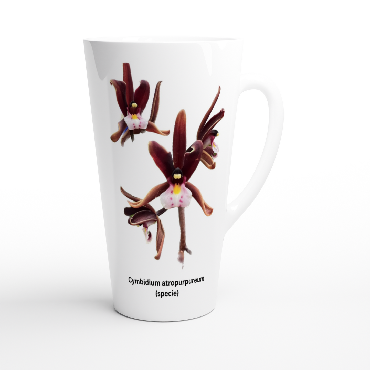 Cymbidium atropurpureum Orchid Latte Mug