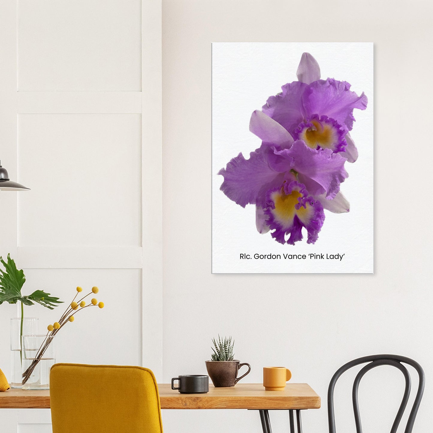 Rlc. Gordon Vance 'Pink Lady' Orchid Canvas Print