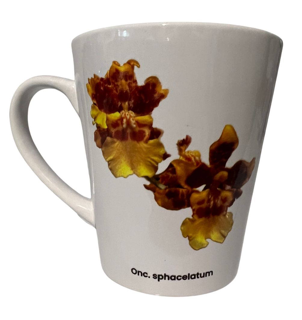 Oncidium sphaculatum Orchid 12oz Latte Mug