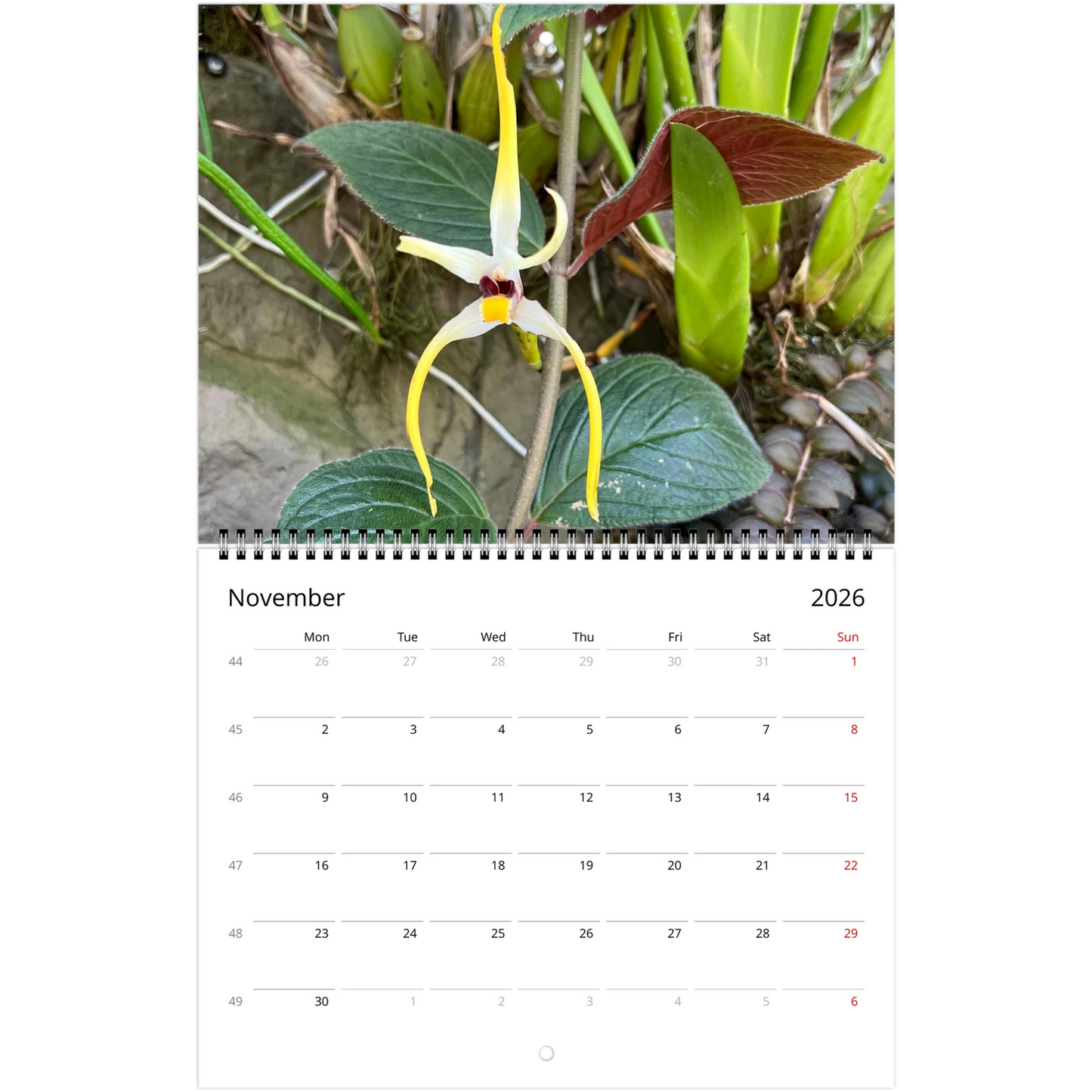 Singapore Nation Orchid Garden 2026 Calendar (US & CA)