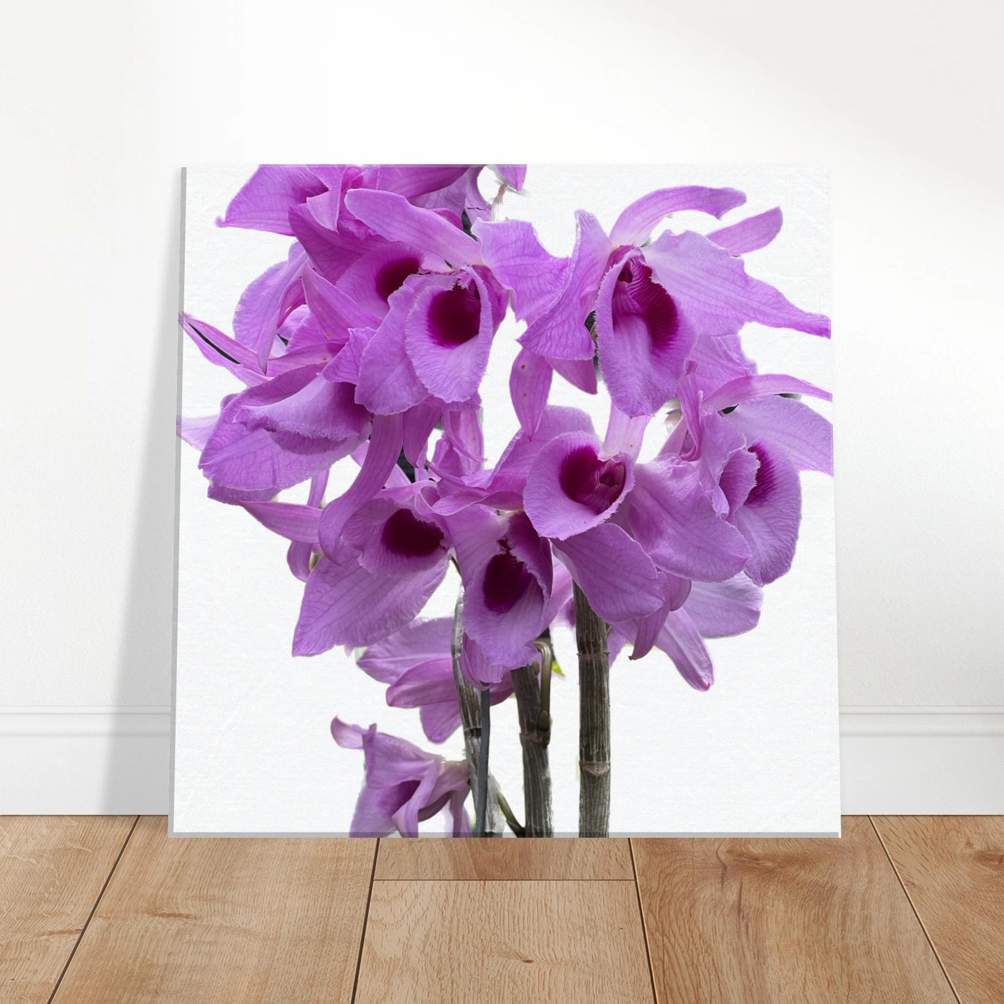 Dendrobium anosmum superbum 'Blue Lip' Orchid Canvas Print