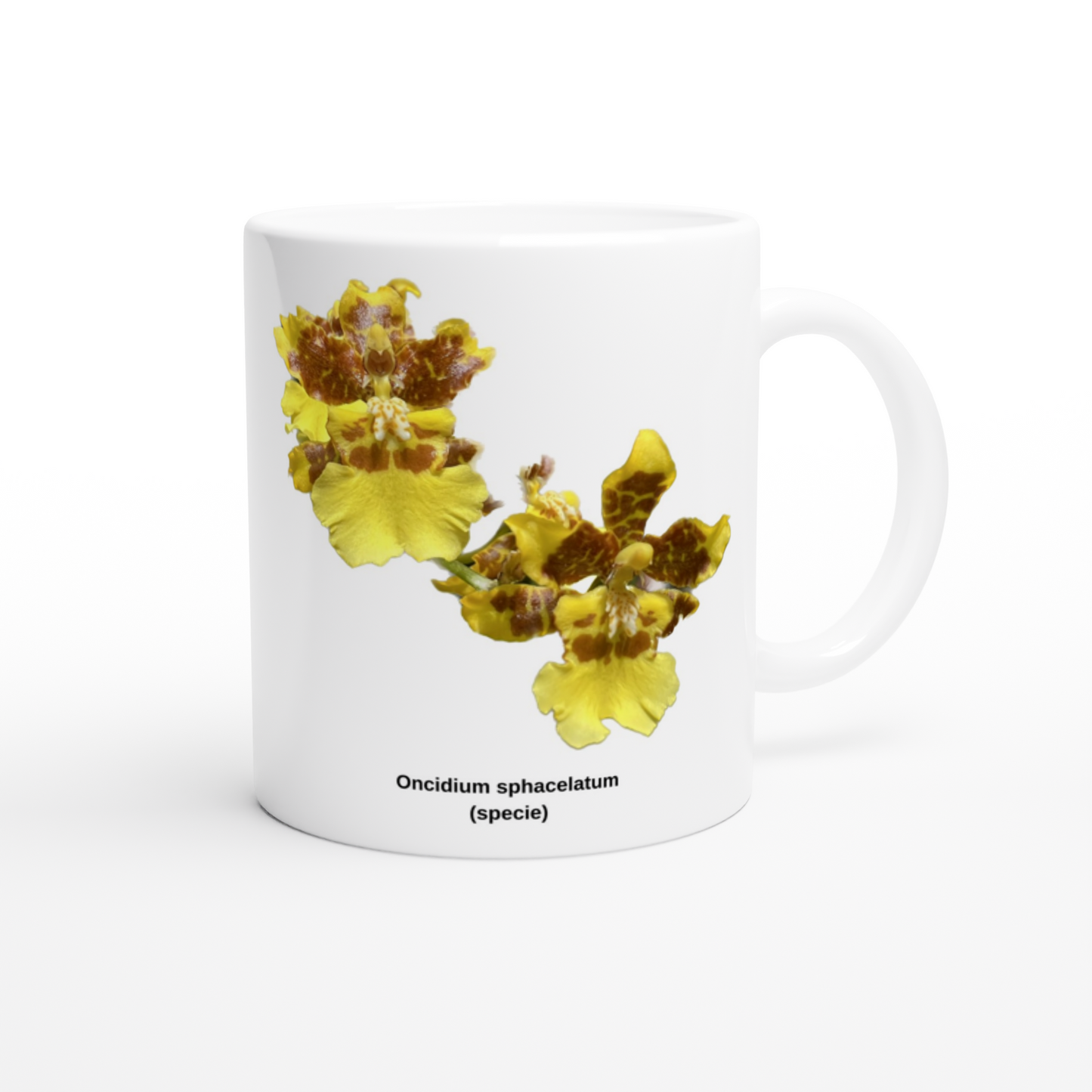 Oncidium sphacelatum Orchid Coffee Mug