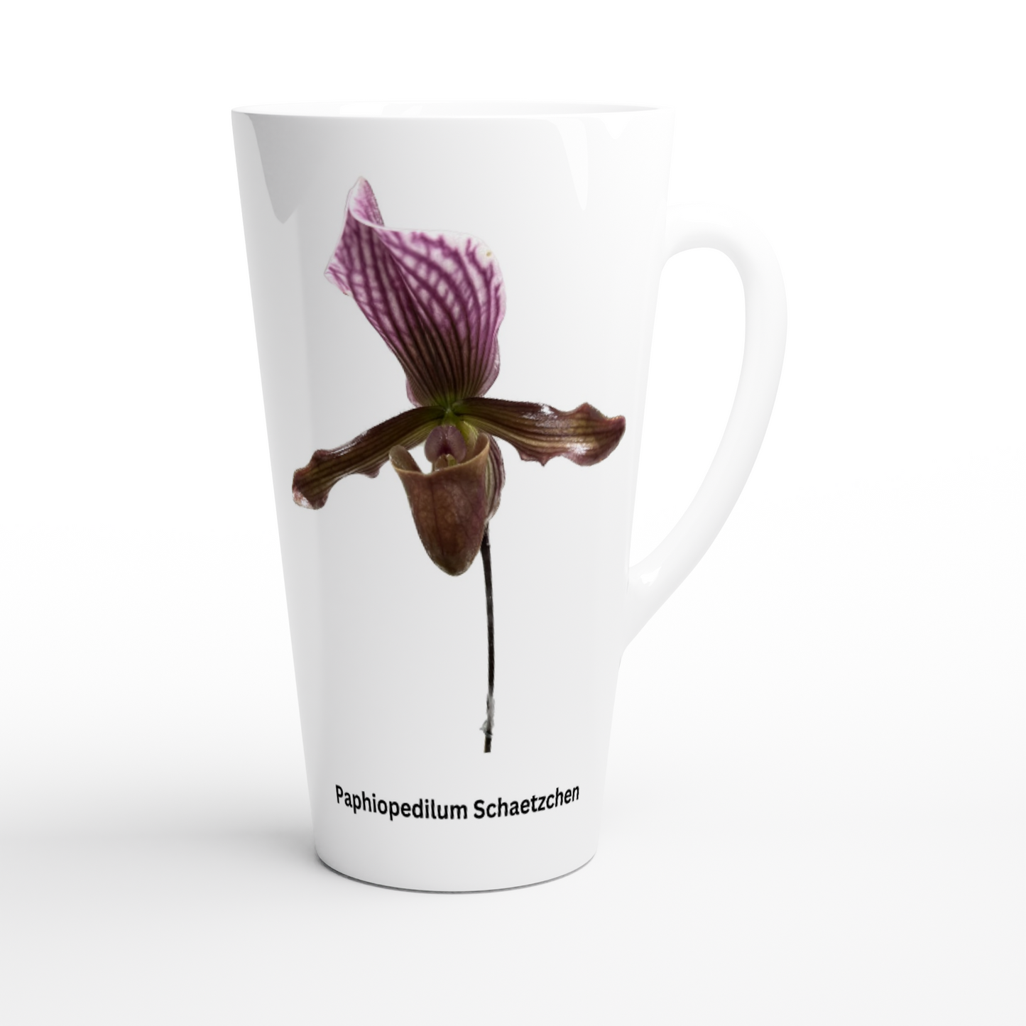 Paphiopedilum Schaetzchen Orchid Latte Mug