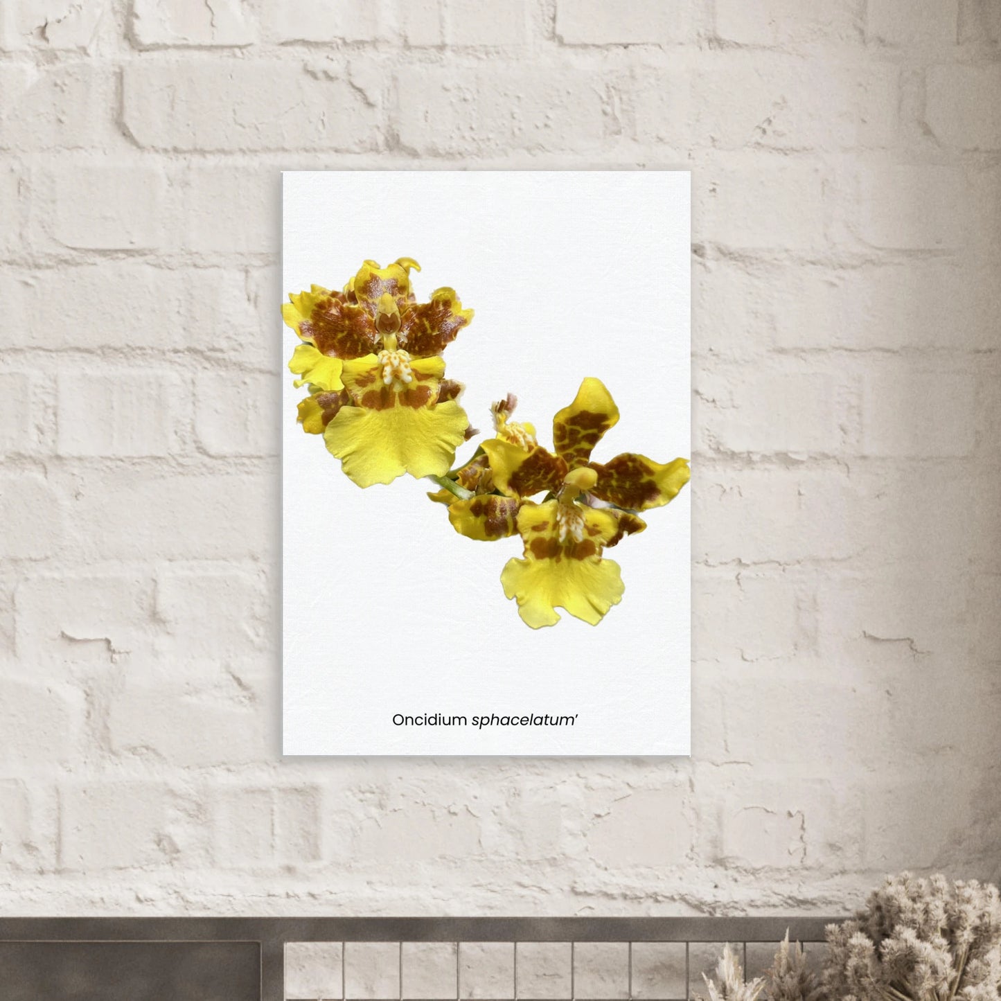 f3328c18-8809-45e0-973b-c6154a1f02e6