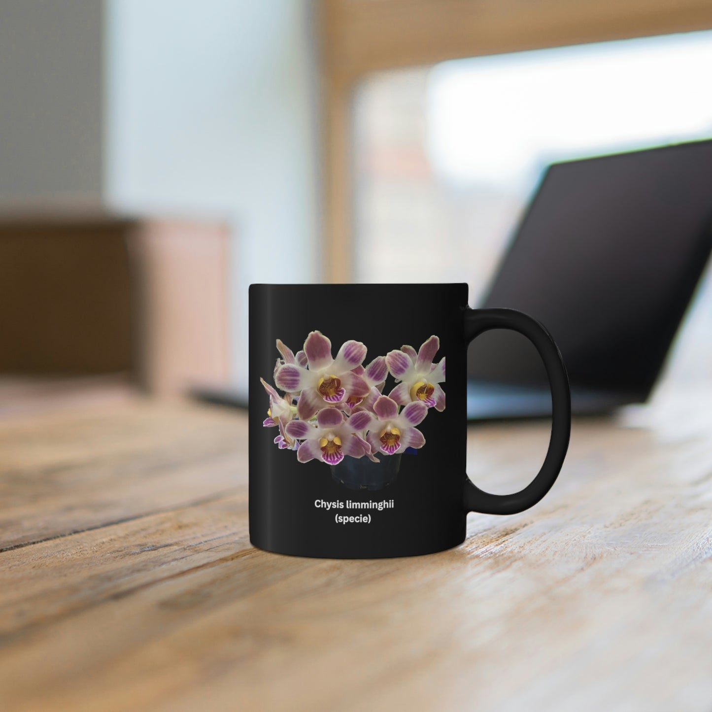 Chysis limminghei Orchid Coffee Mug