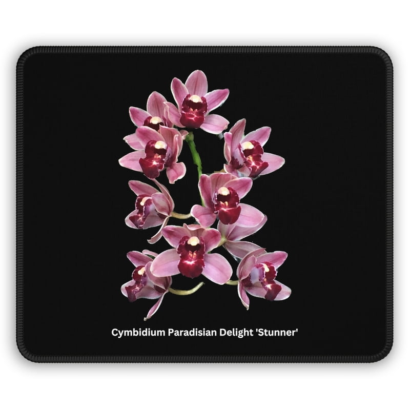 Cymbidium Paradisian Delight 'Stunner' Orchid Mouse Pad