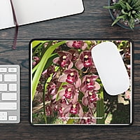 Cym. Paradisian Delight 'Stunner' Orchid Mouse Pad