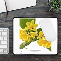 Dendrobium Sulcatum Orchid Mouse Pad