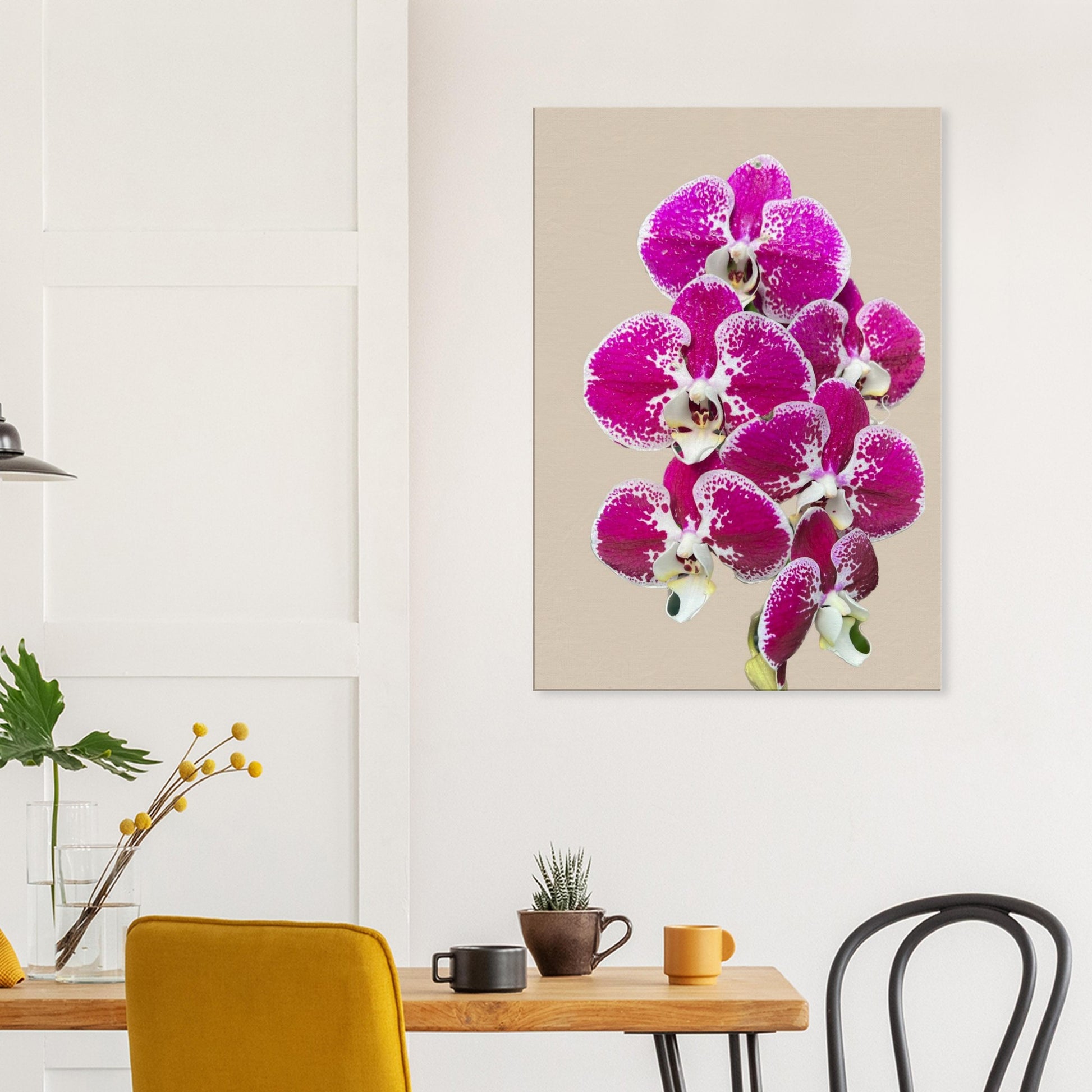 Pink & White Phalaenopsis Sand Orchid Canvas Print