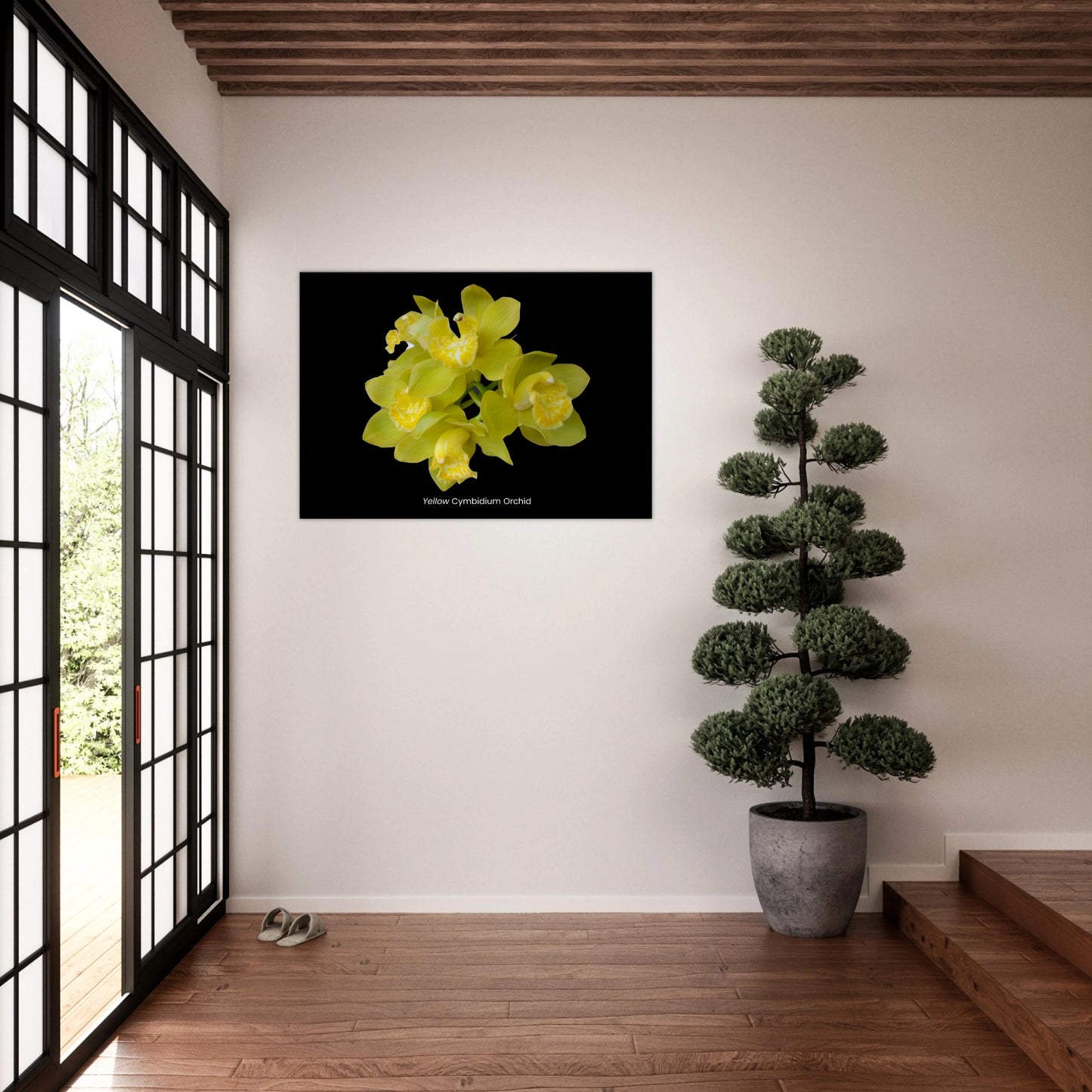 Yellow Cymbidium Orchid Canvas Print