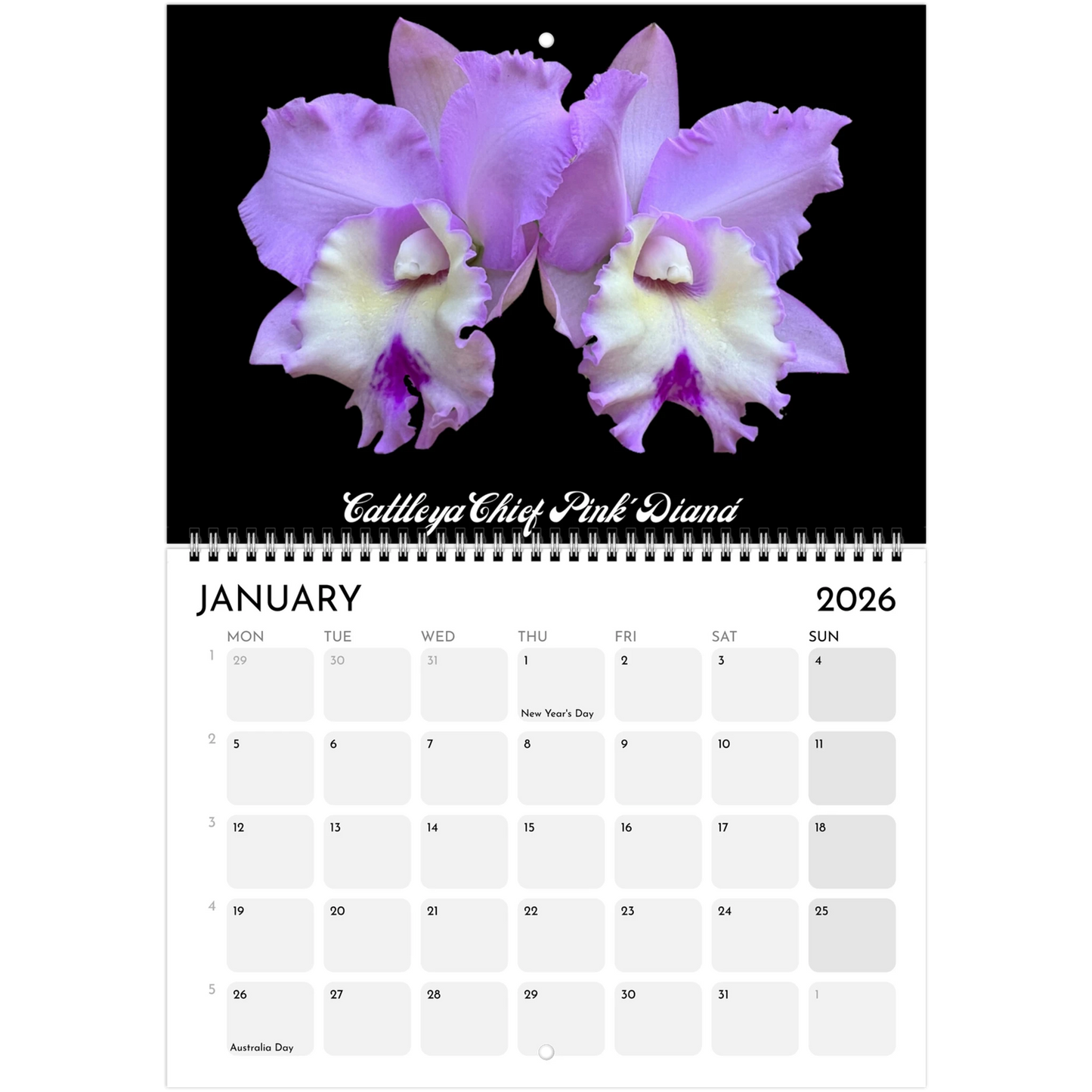 "Catts" In Black 2026 Calendar