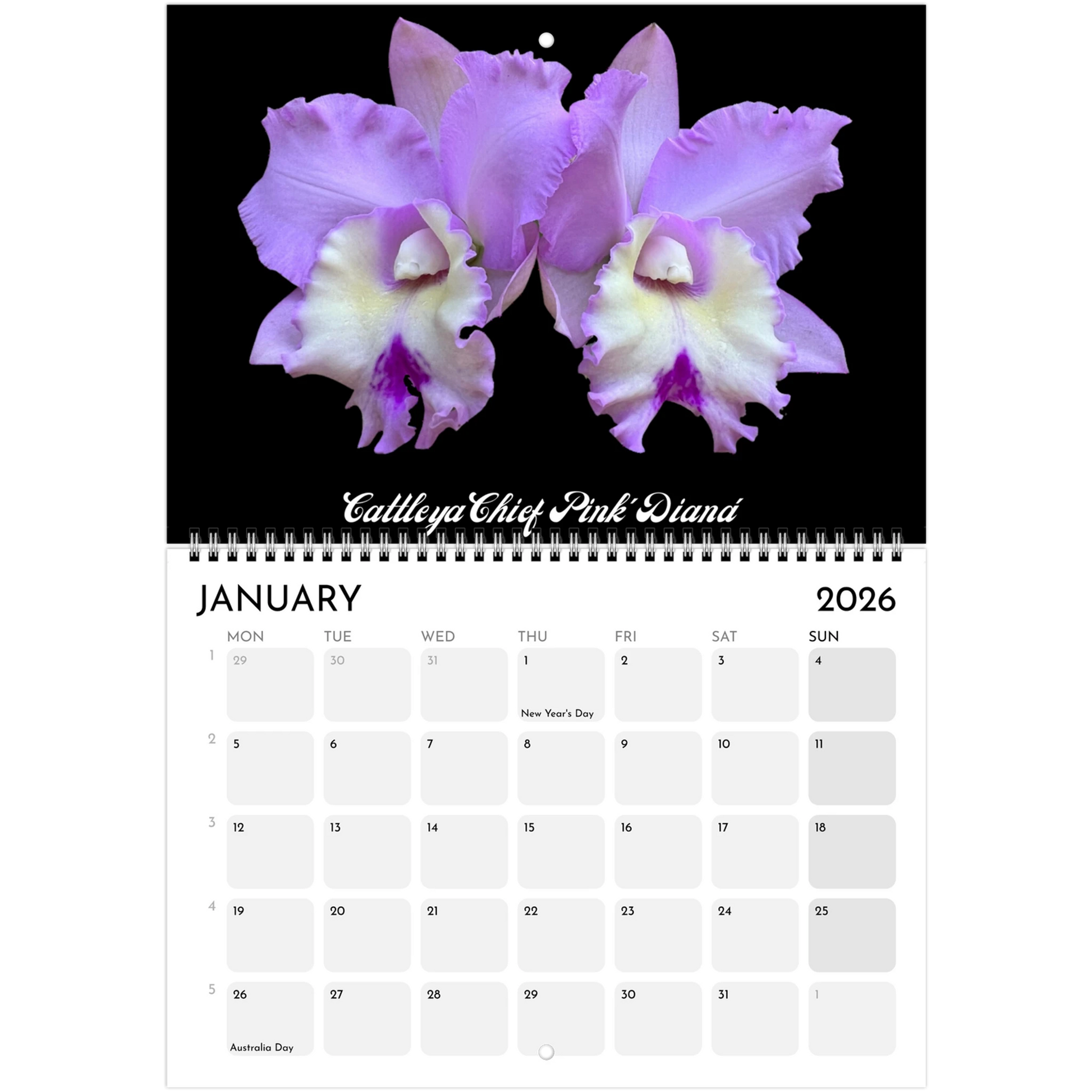 "Catts" In Black 2026 Calendar