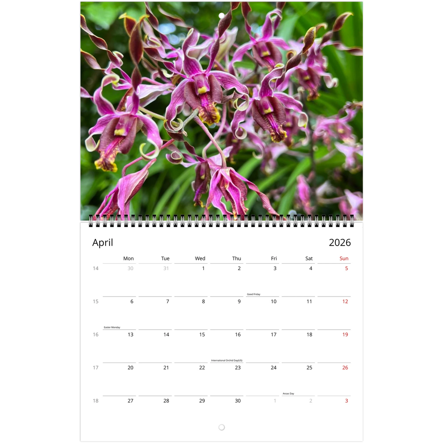 Singapore Nation Orchid Garden 2026 Calendar  (US & CA)