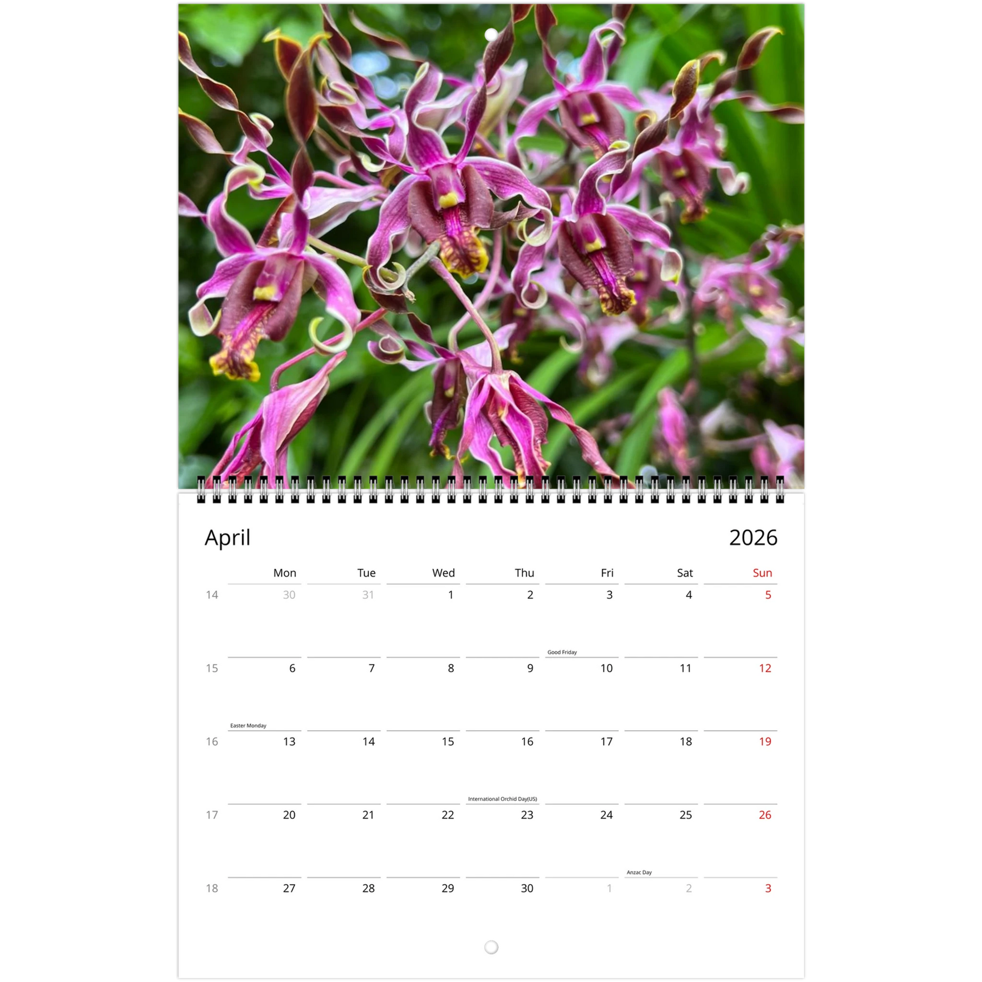 Singapore Nation Orchid Garden 2026 Calendar  (US & CA)