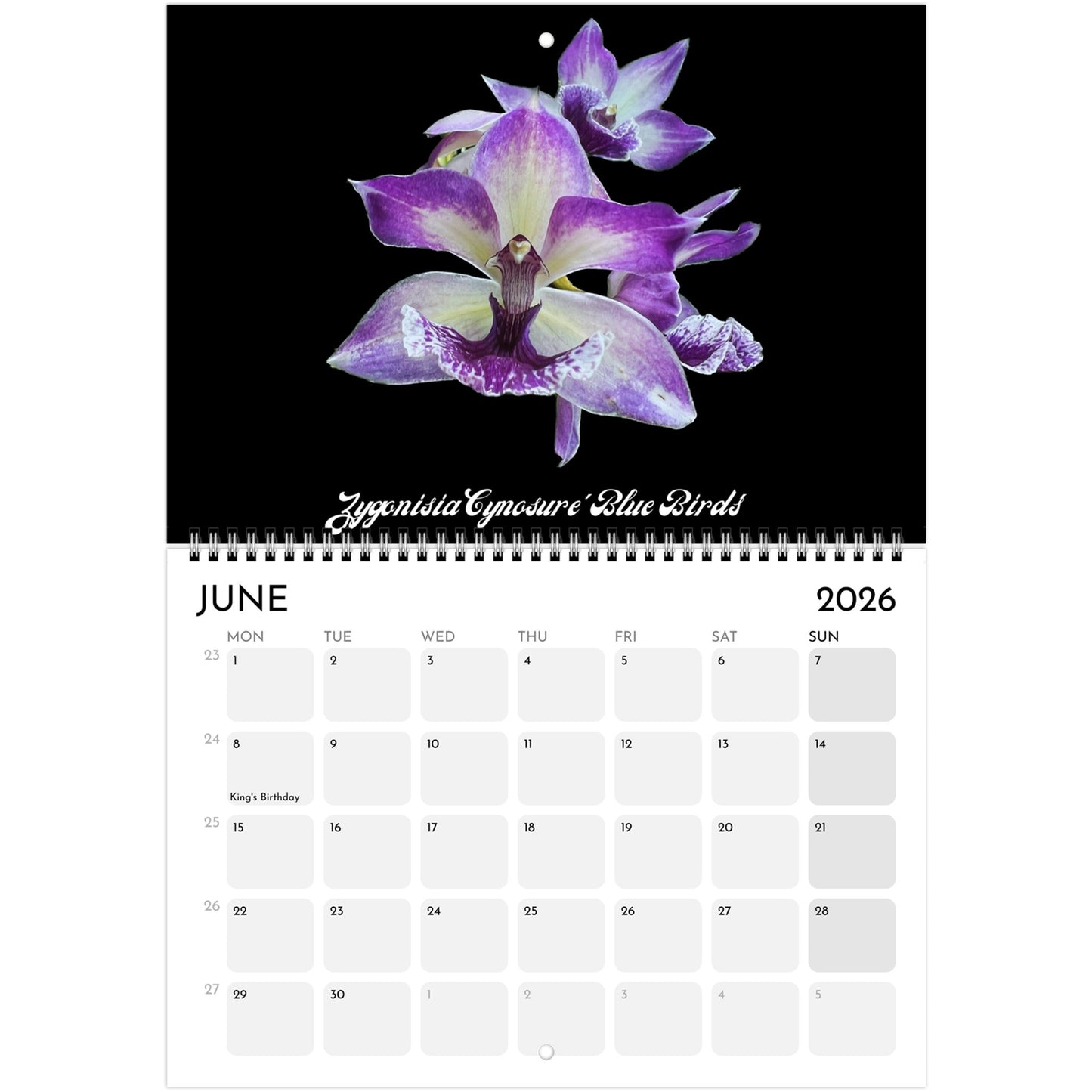 Loving Orchids  2026 Calendar