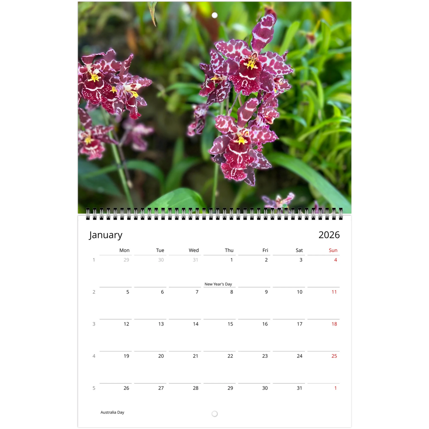 Singapore Nation Orchid Garden 2026 Calendar  (US & CA)