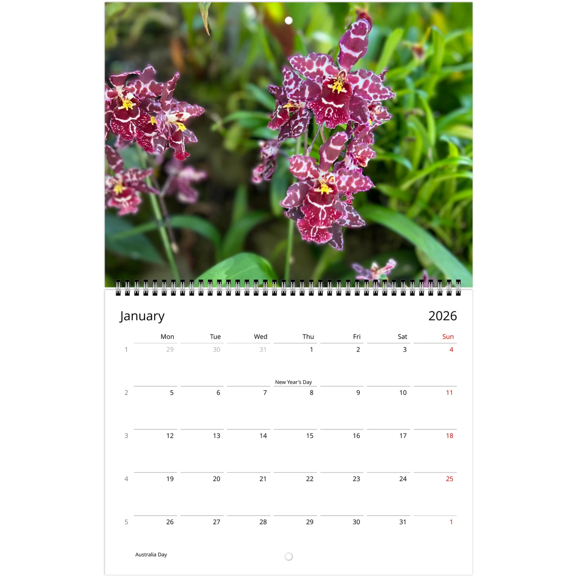 Singapore Nation Orchid Garden 2026 Calendar  (US & CA)