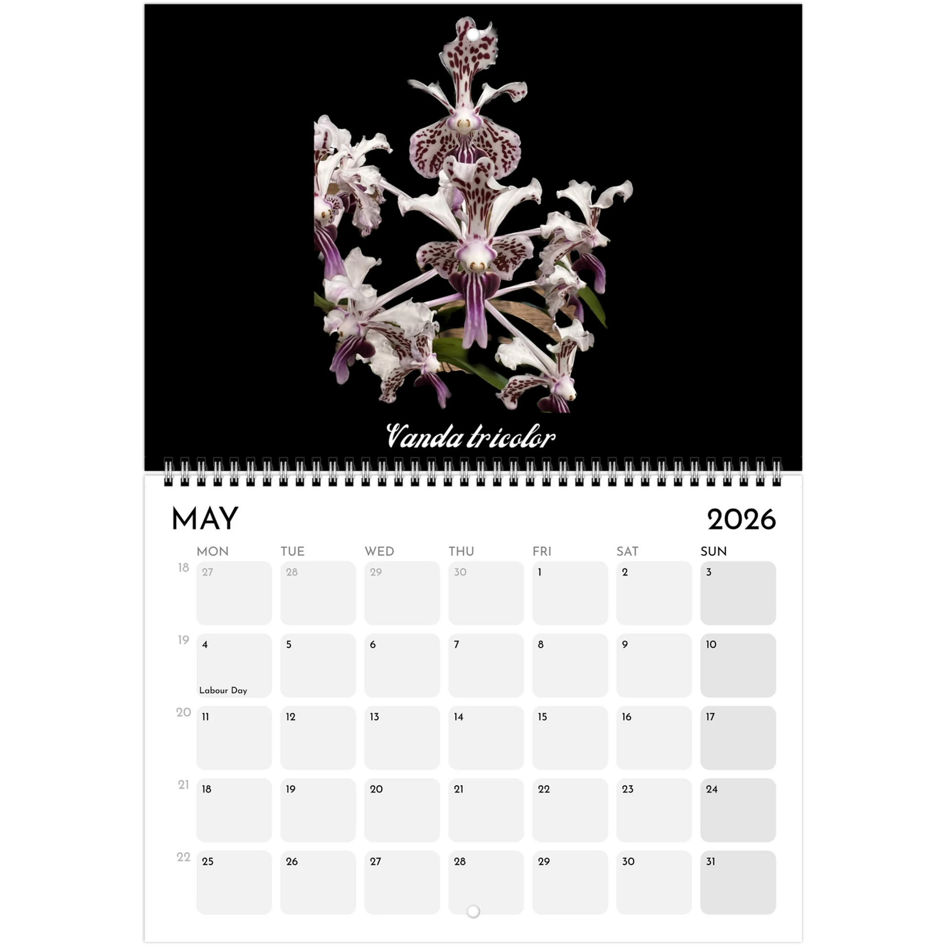 Species Orchids  2026 Calendar