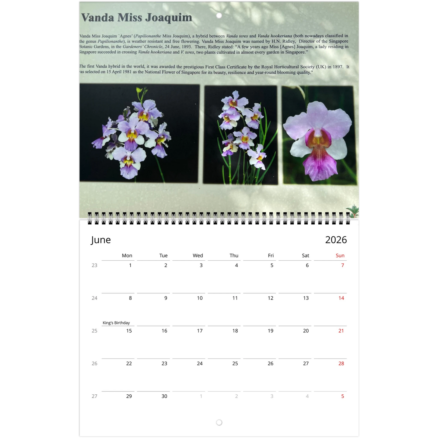 Singapore Nation Orchid Garden 2026 Calendar  (US & CA)