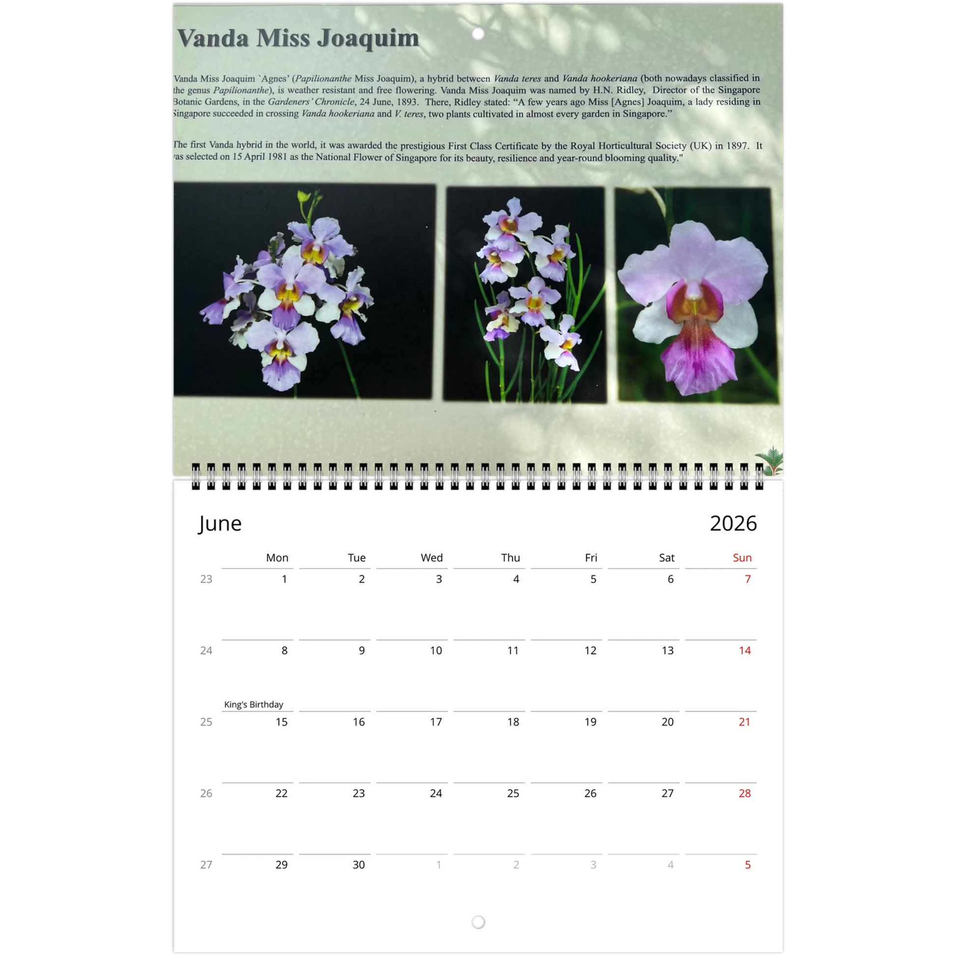 Singapore Nation Orchid Garden 2026 Calendar  (US & CA)