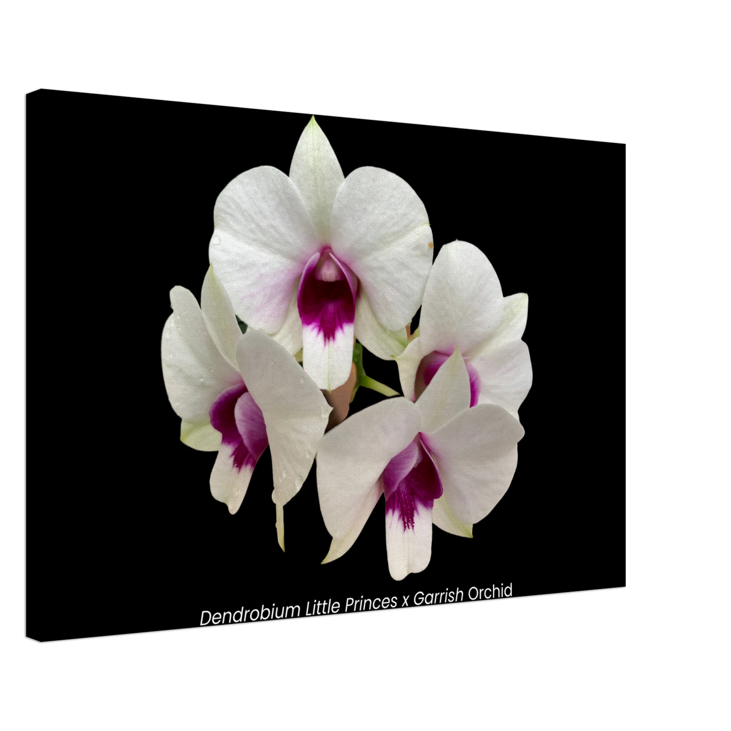 0d3099a1-d68a-4792-9eb0-21add11e852f