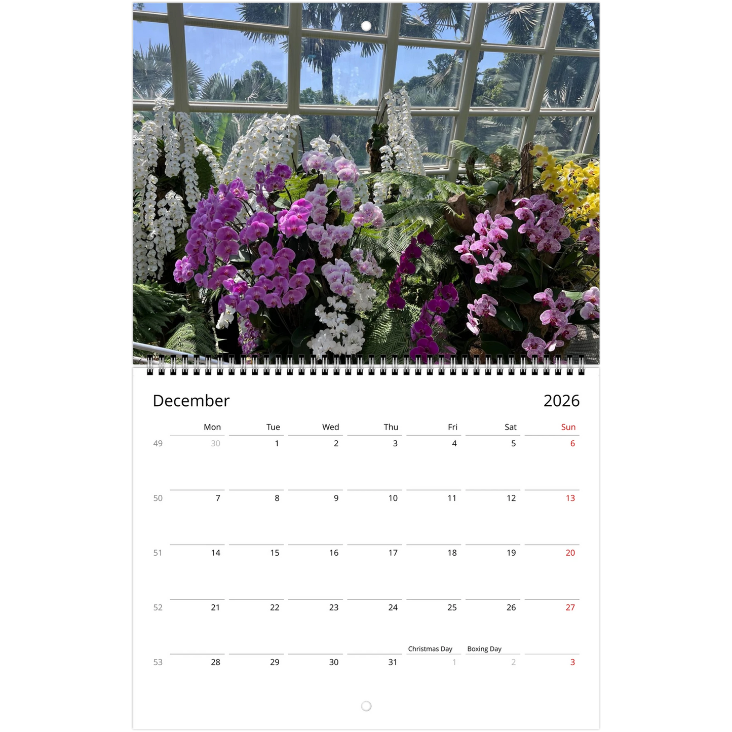 Singapore Nation Orchid Garden 2026 Calendar  (US & CA)