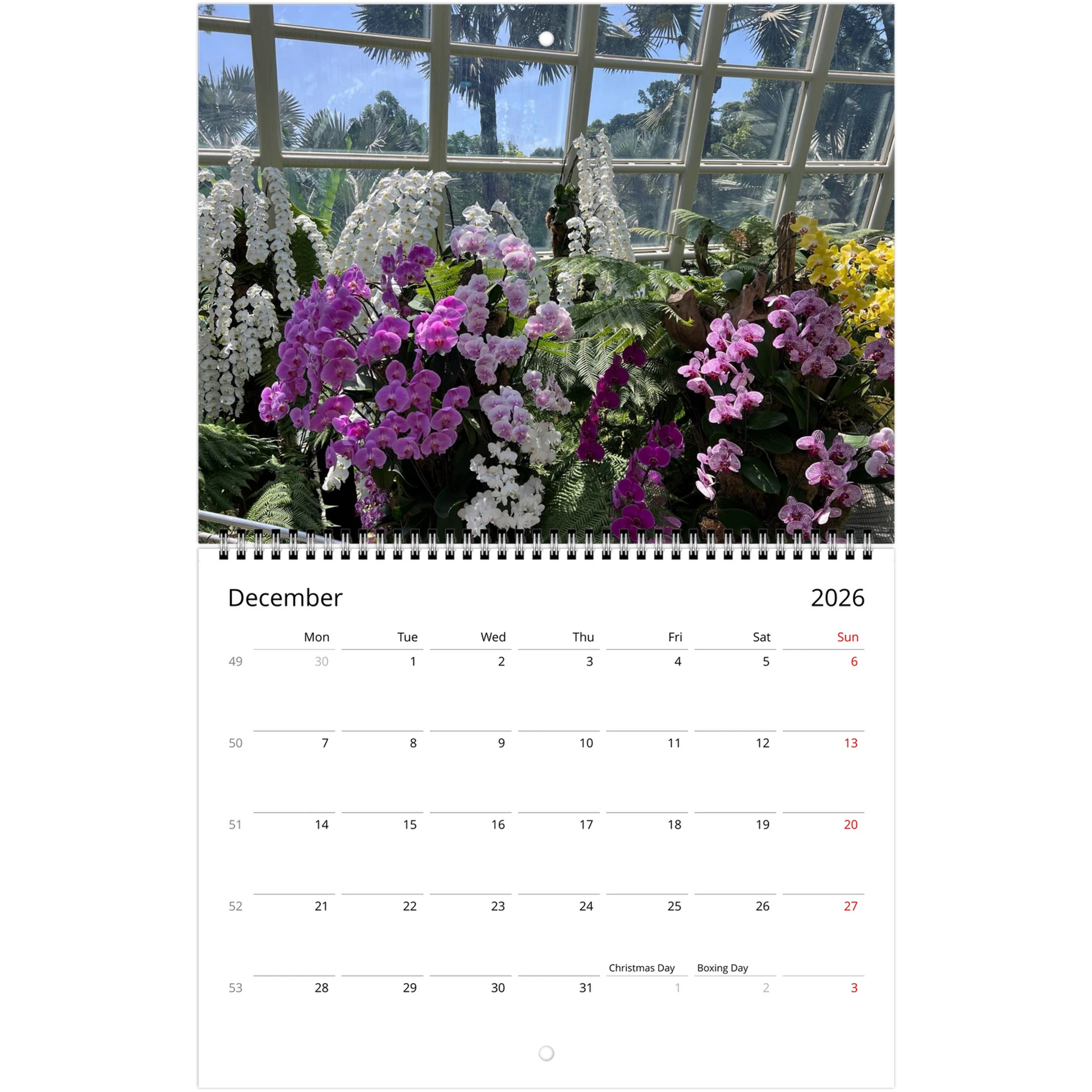 Singapore Nation Orchid Garden 2026 Calendar  (US & CA)