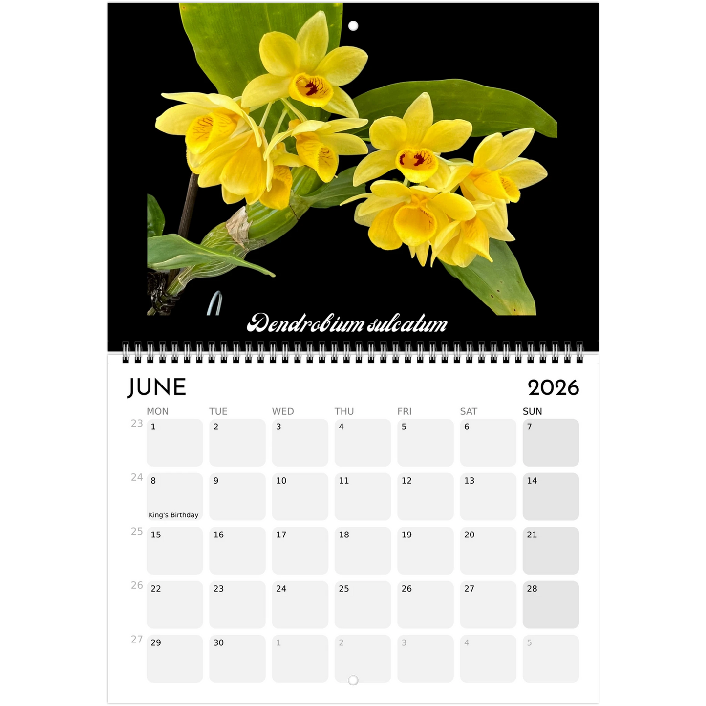 Species Orchids  2026 Calendar