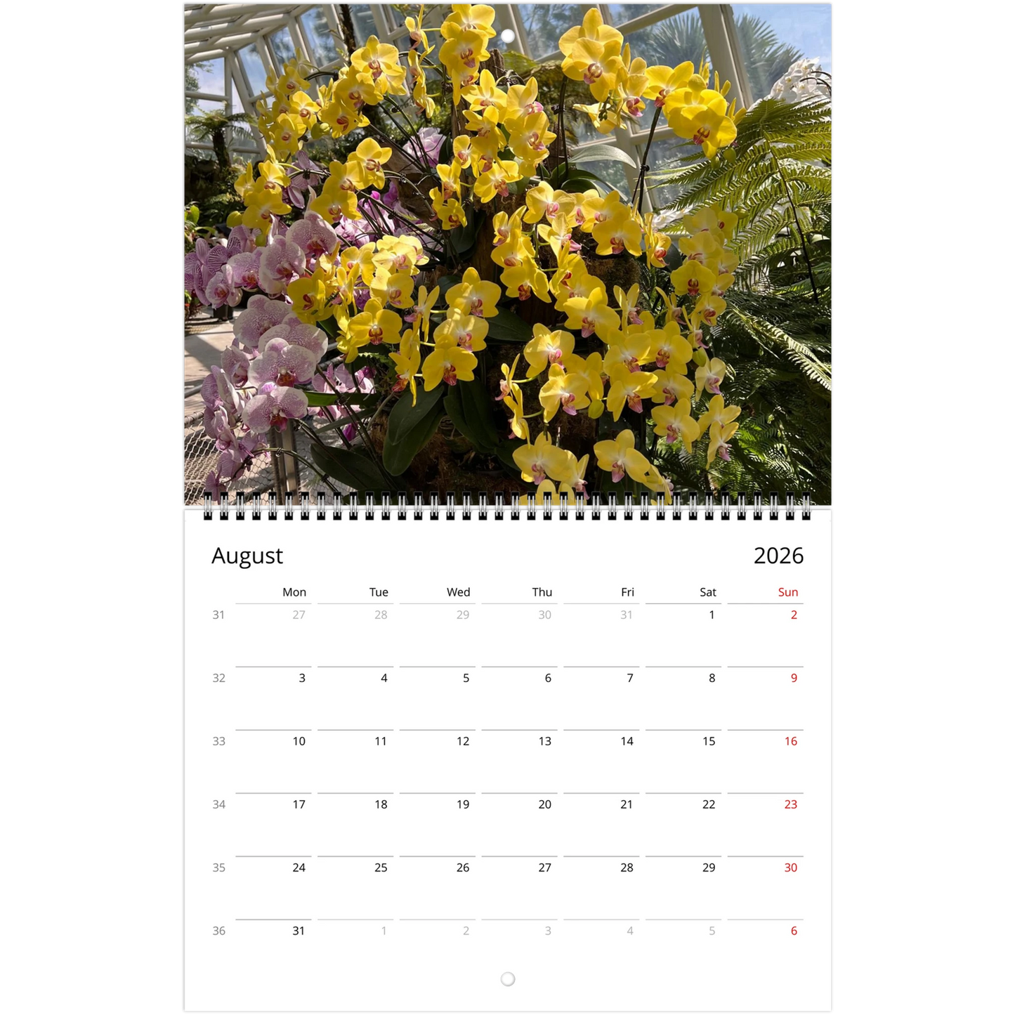 Singapore Nation Orchid Garden 2026 Calendar  (US & CA)