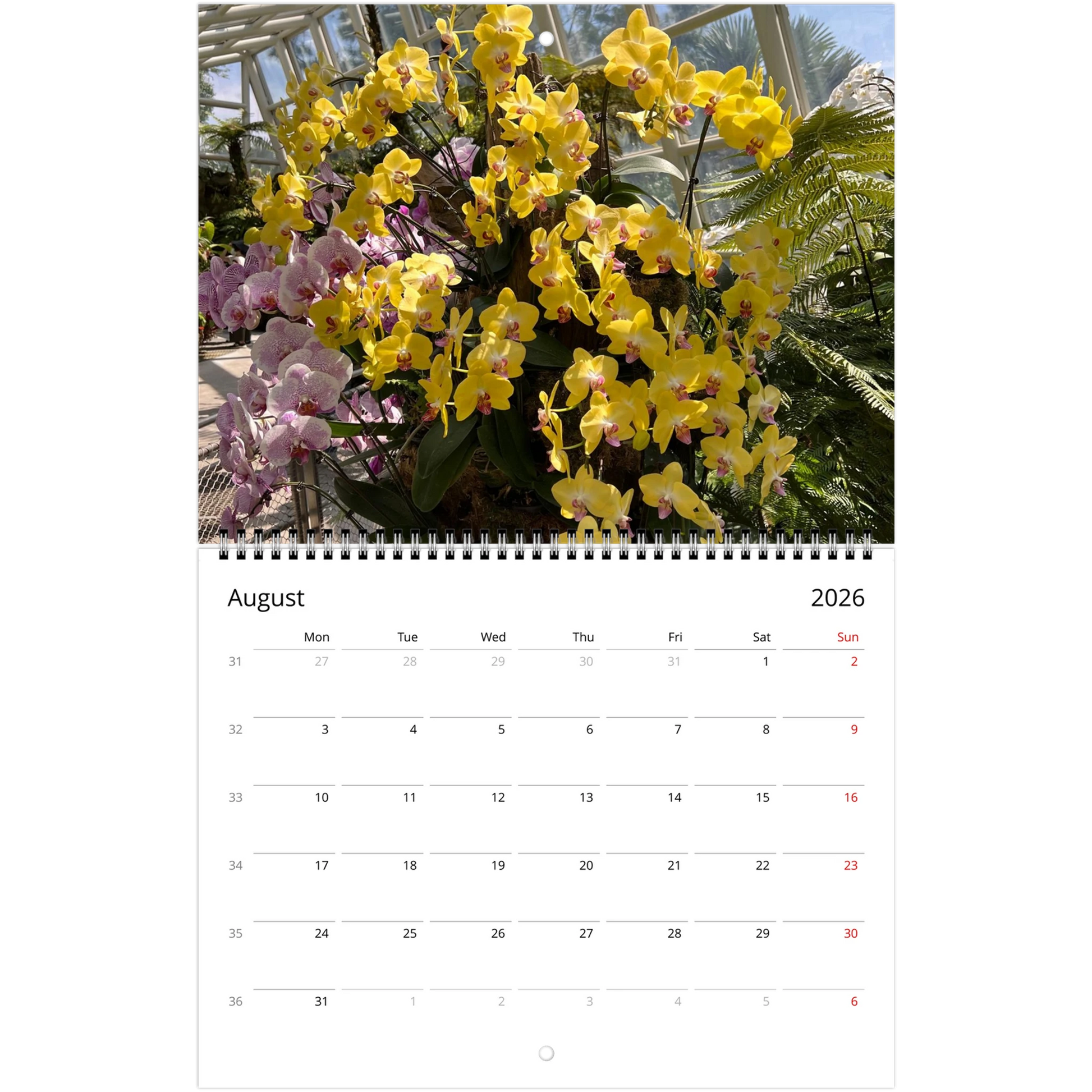 Singapore Nation Orchid Garden 2026 Calendar  (US & CA)