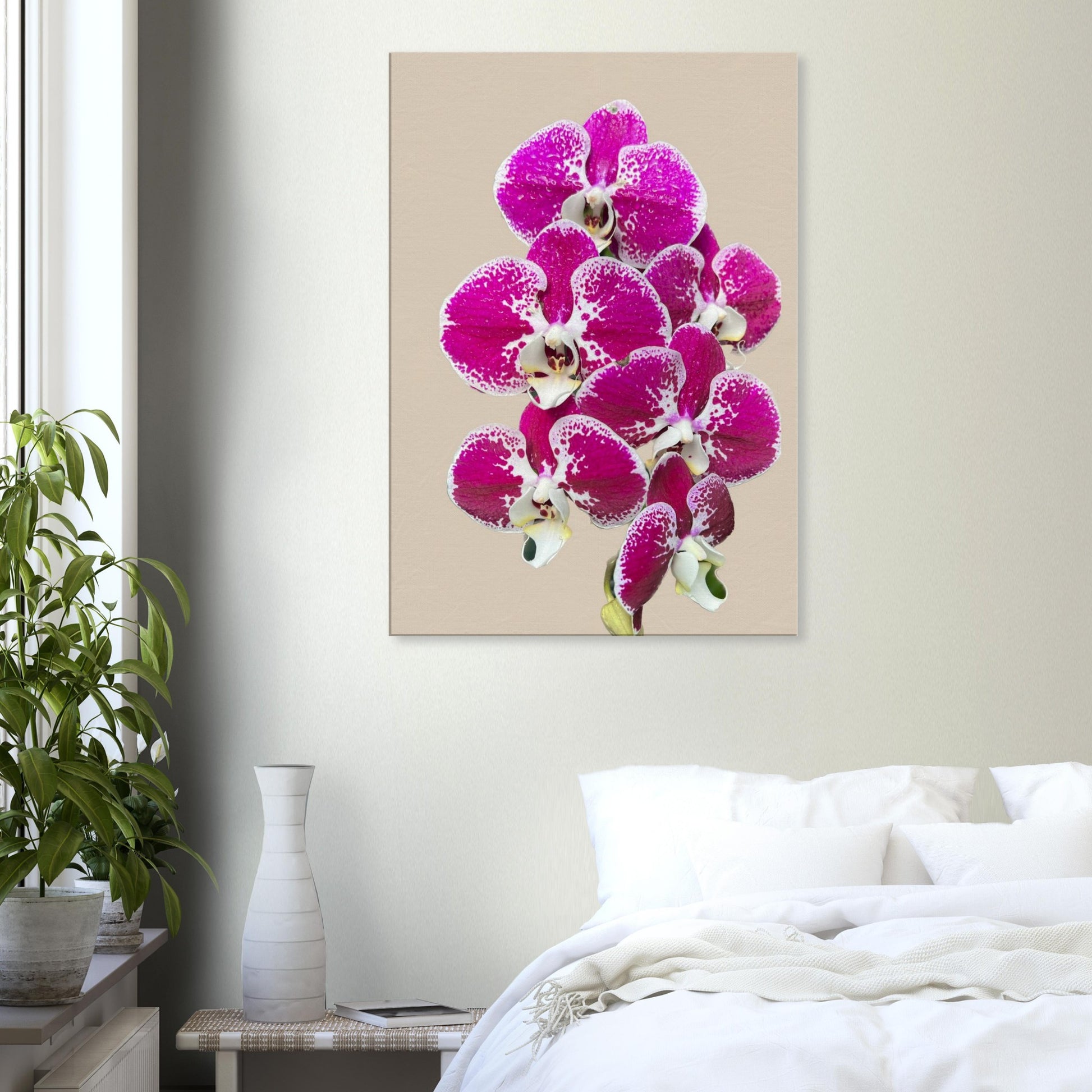 Pink & White Phalaenopsis Sand Orchid Canvas Print