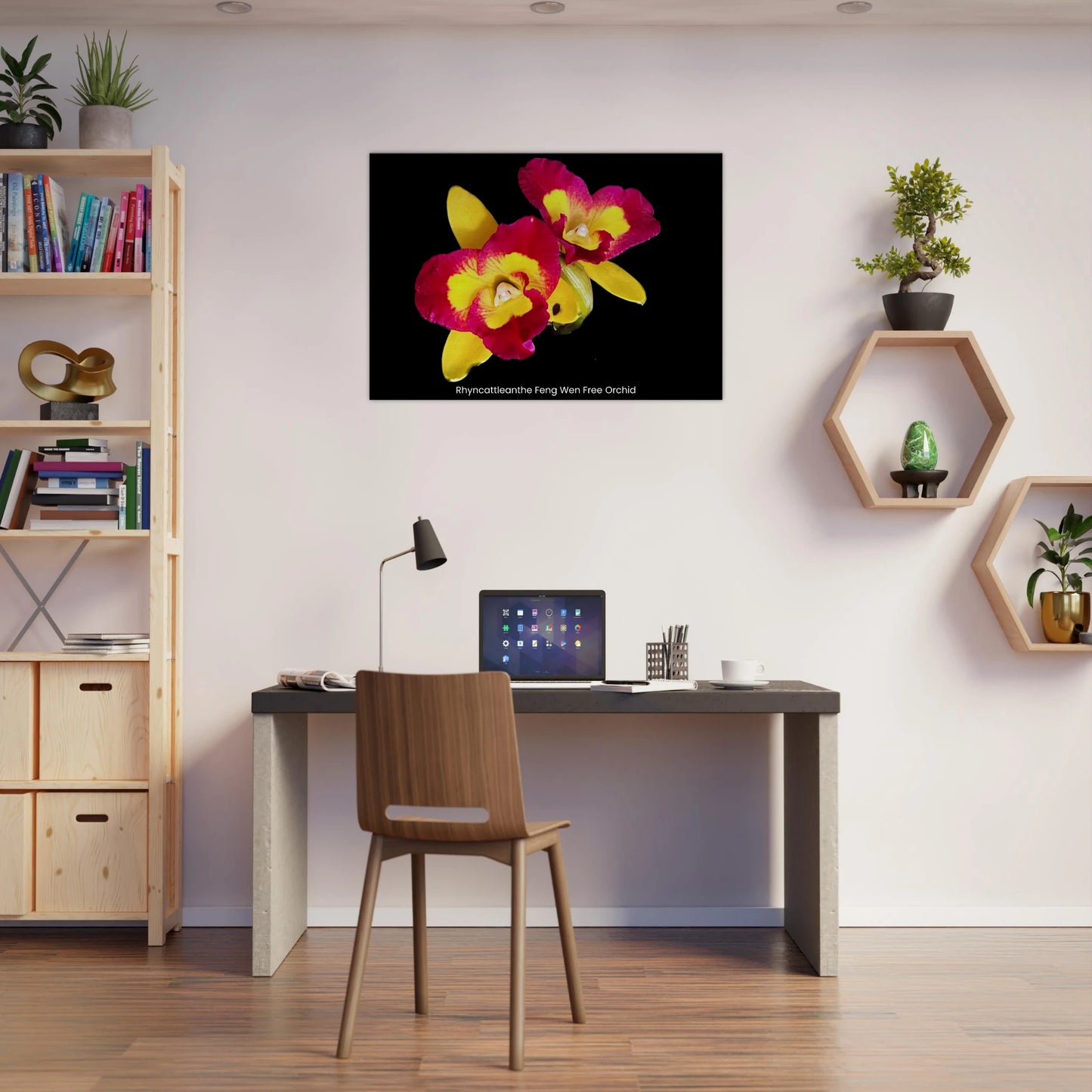 Rhyncattleanthe Feng Weng Free Orchid Canvas Print