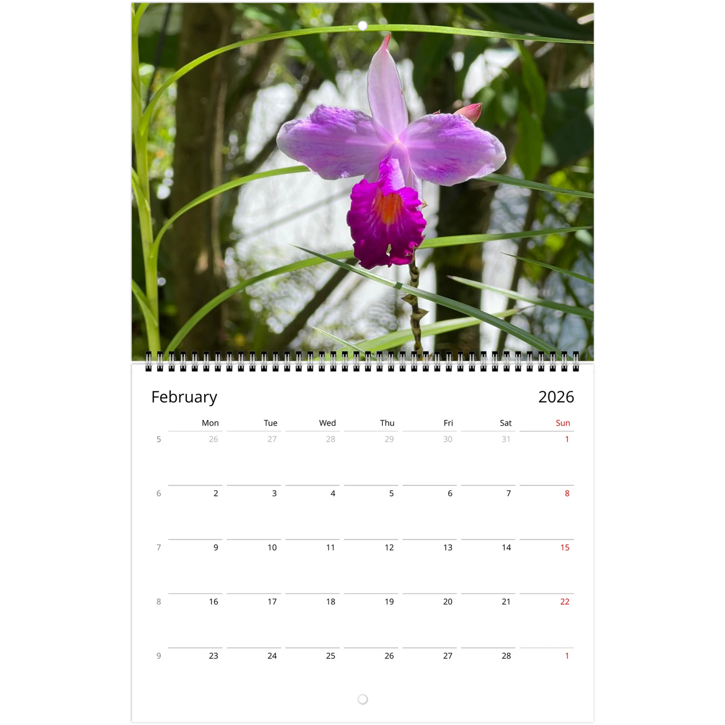 Singapore Nation Orchid Garden 2026 Calendar  (US & CA)