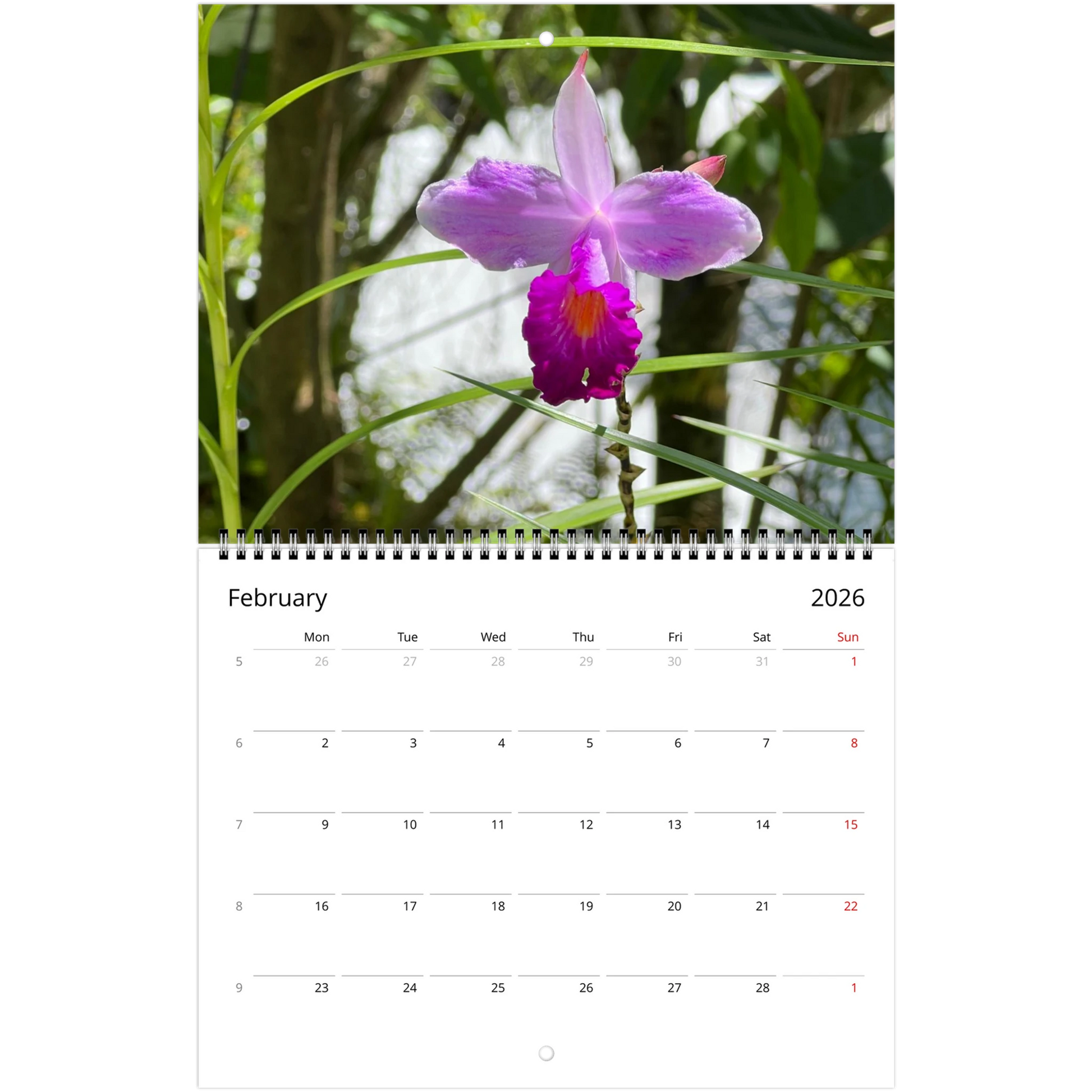 Singapore Nation Orchid Garden 2026 Calendar  (US & CA)