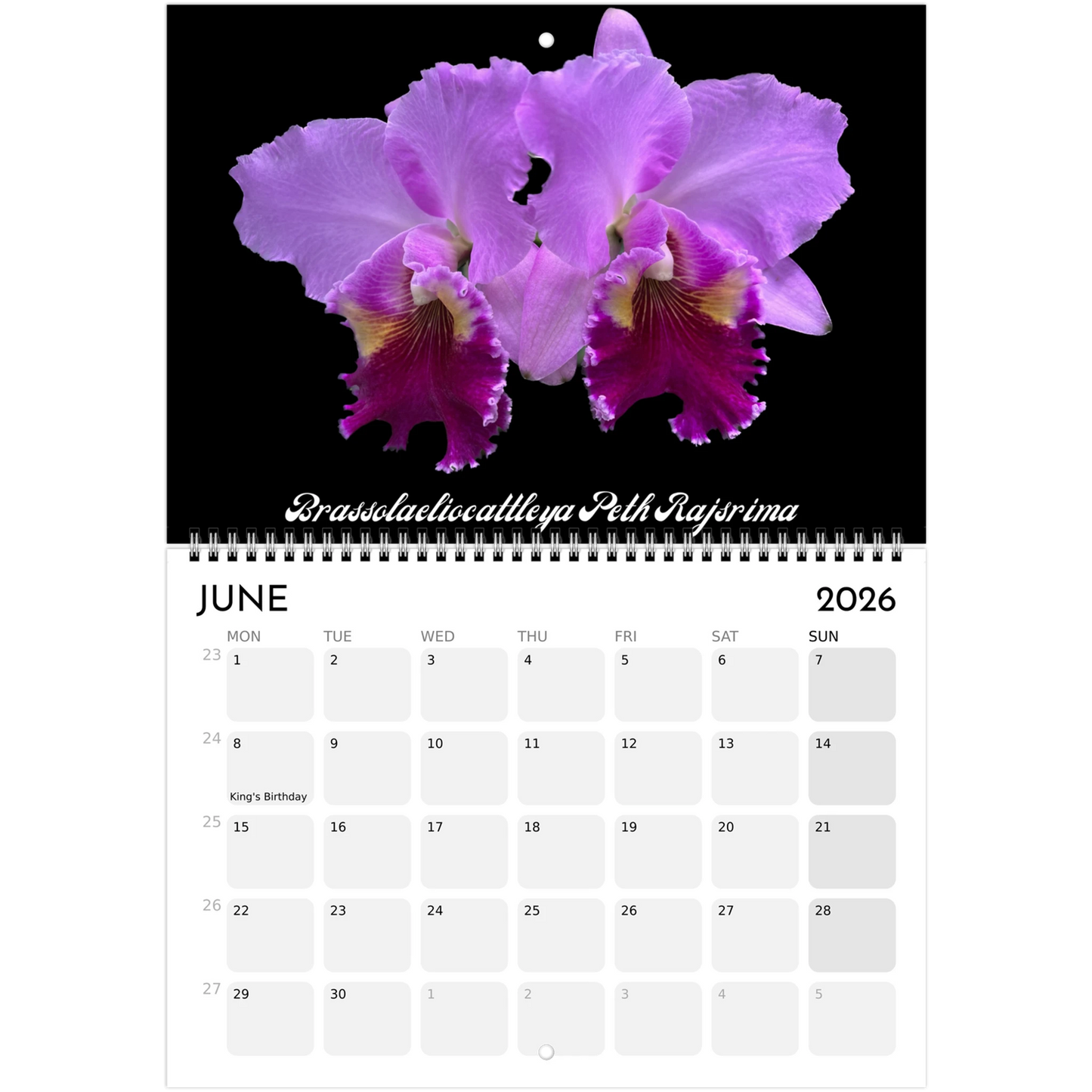 "Catts" In Black 2026 Calendar