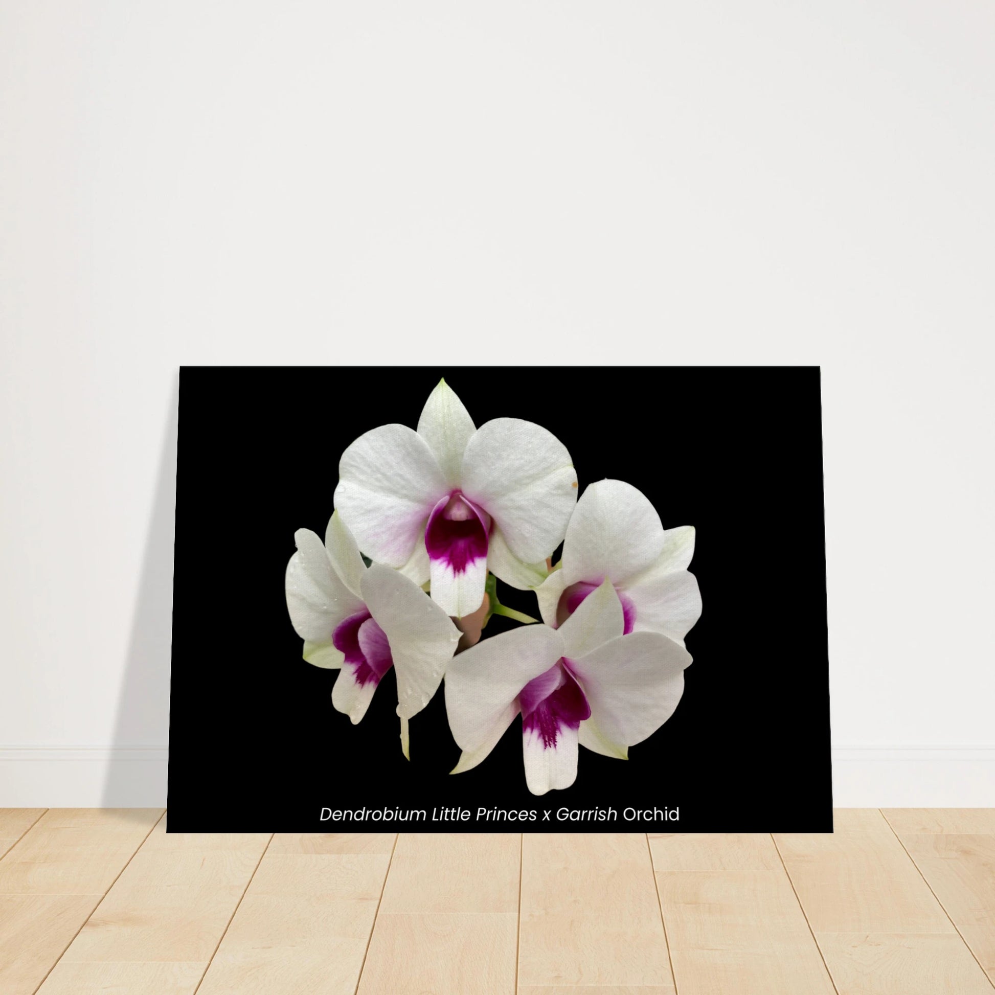 1918ead4-3123-4602-b81b-0c47954505a6