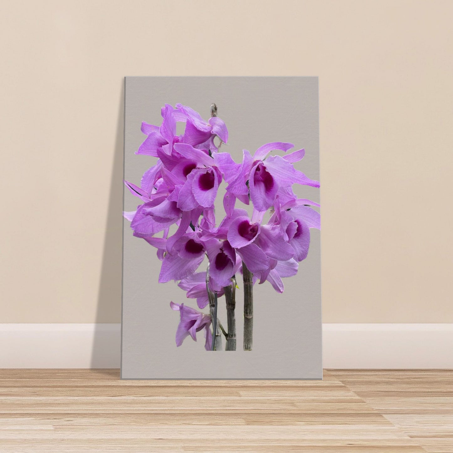 Dendrobium anosmum superbum 'Blue Lip' Orchid Greig Canvas Print