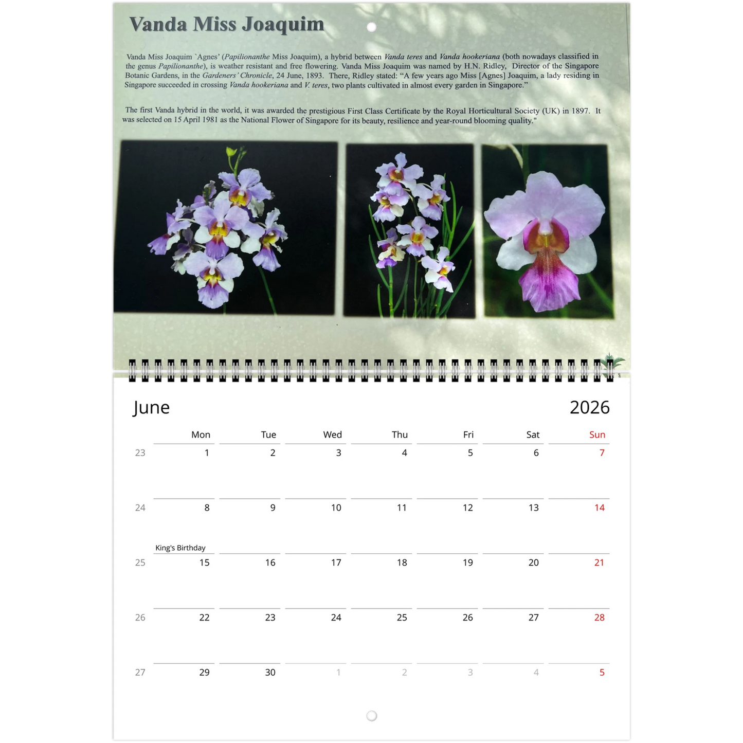 Singapore National Orchid Garden 2026 Calendar