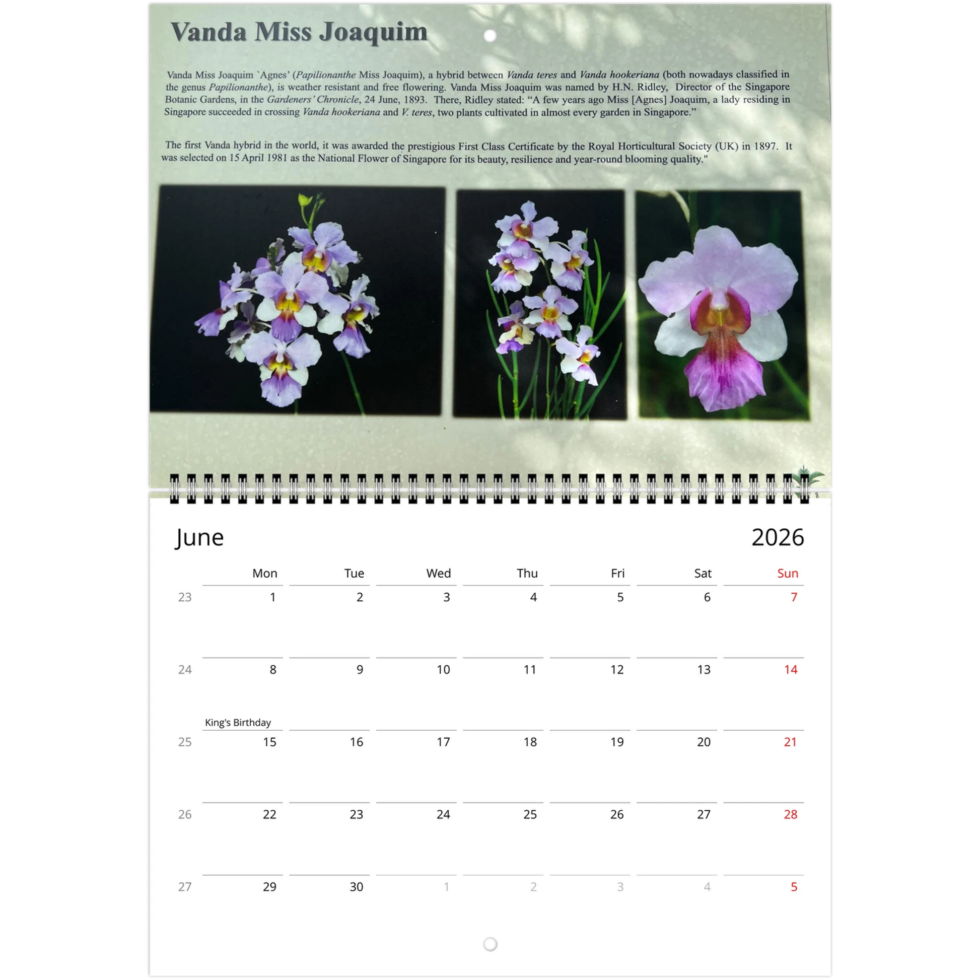 Singapore National Orchid Garden 2026 Calendar