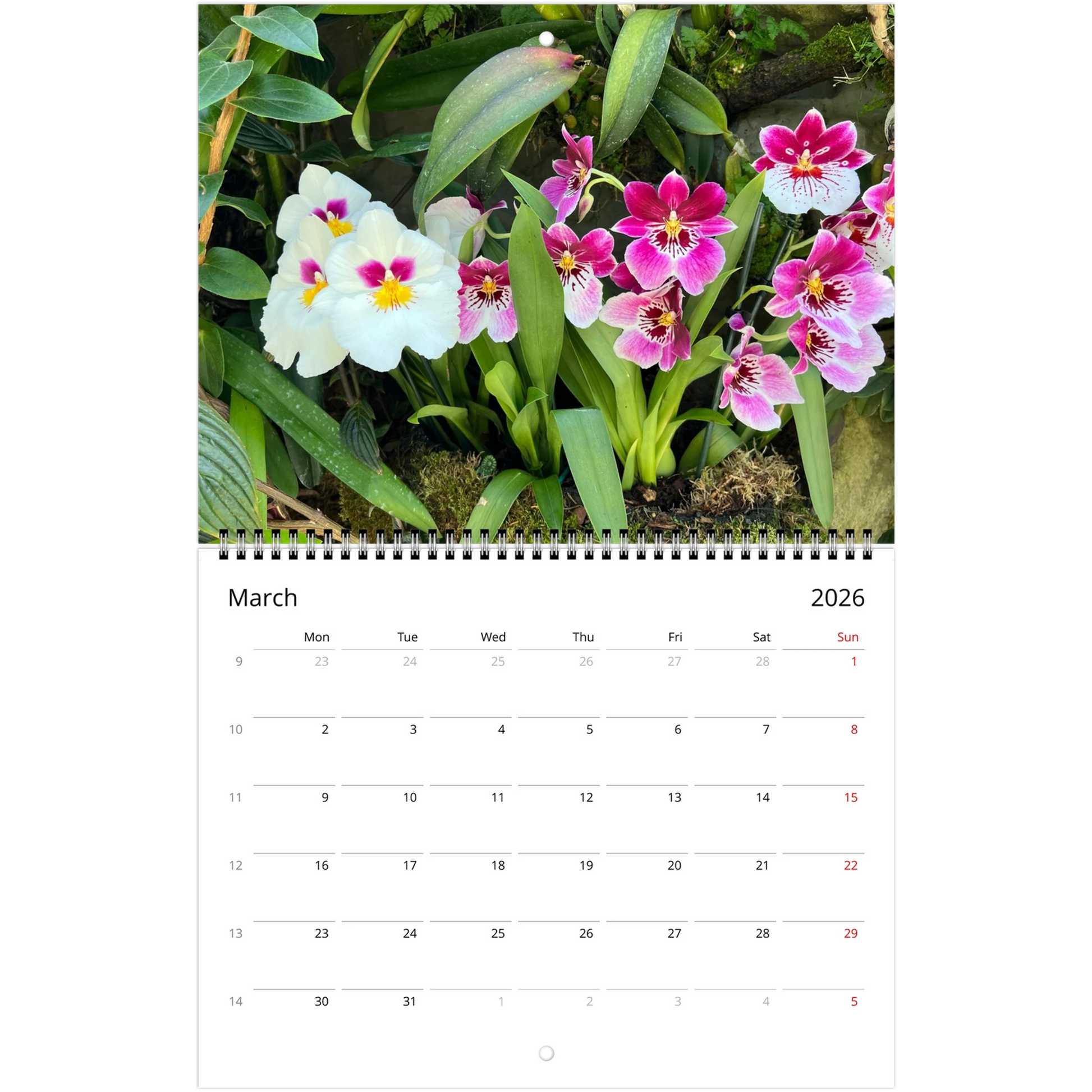 Singapore Nation Orchid Garden 2026 Calendar  (US & CA)