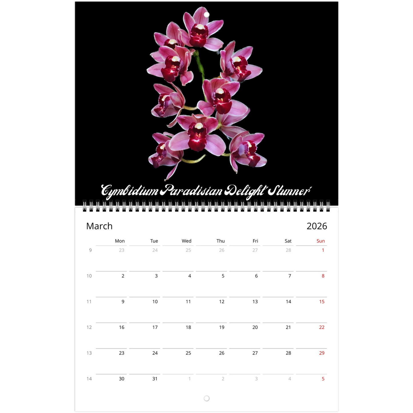 Loving Orchids 2026 Calendar (US & CA)