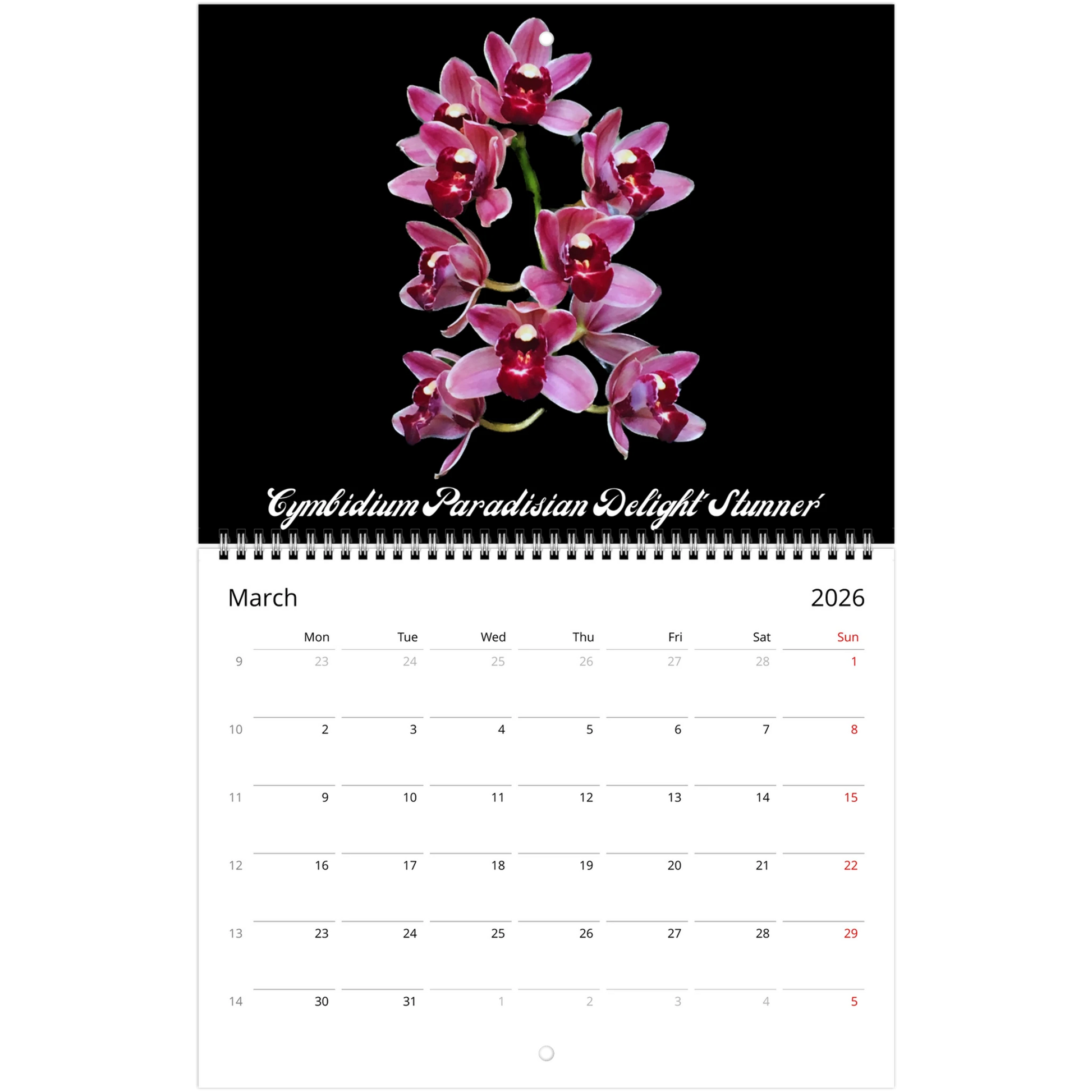 Loving Orchids 2026 Calendar (US & CA)