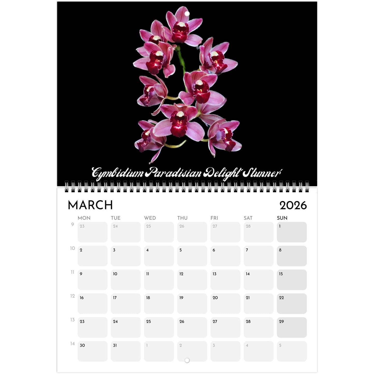 Loving Orchids  2026 Calendar