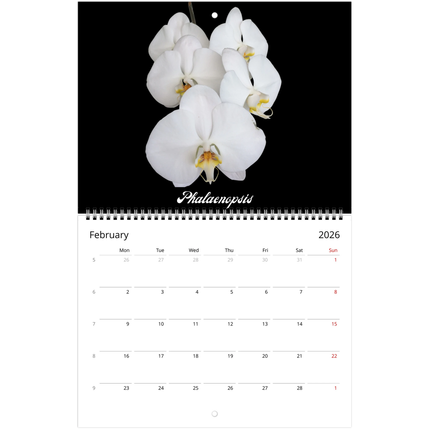 Loving Orchids 2026 Calendar (US & CA)
