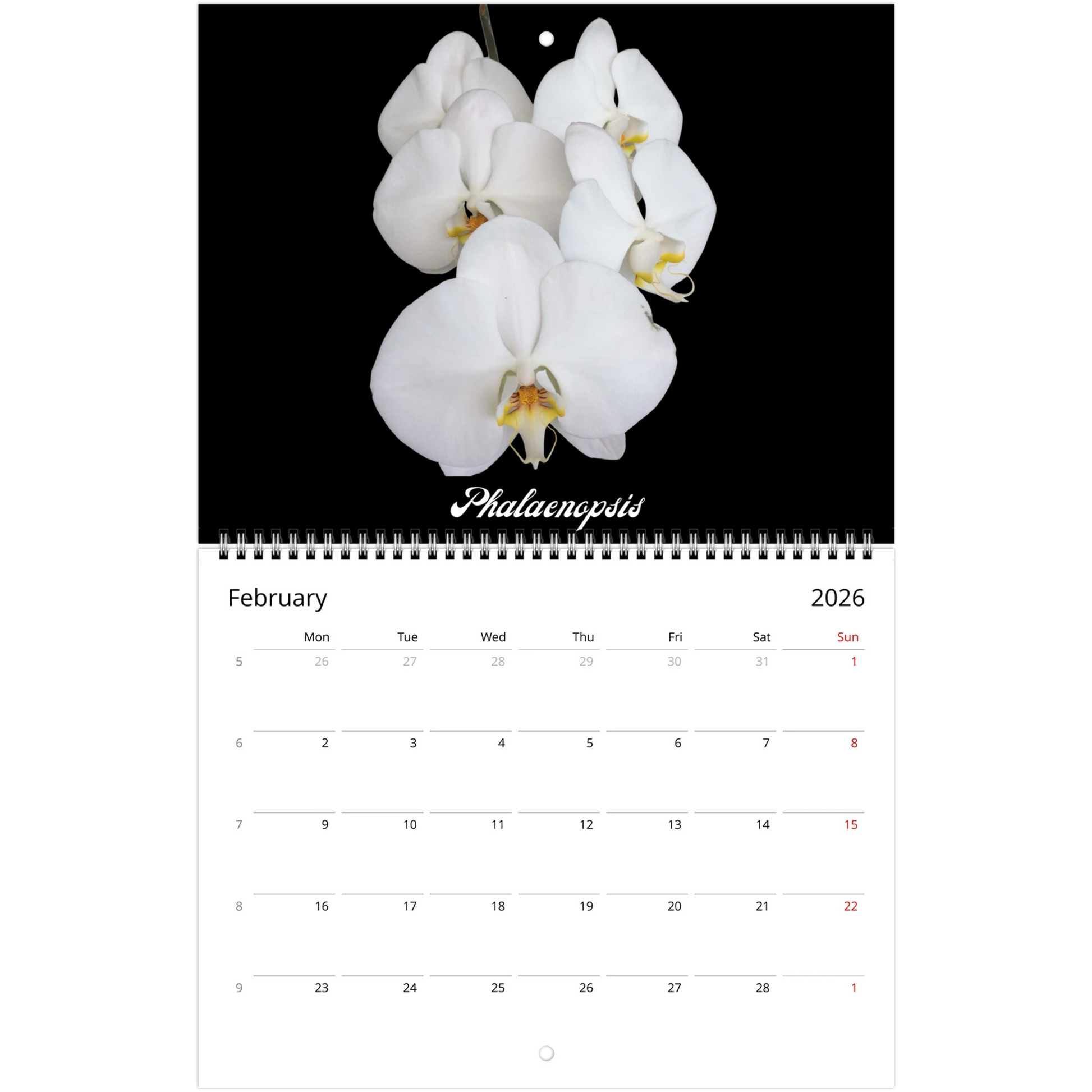 Loving Orchids 2026 Calendar (US & CA)