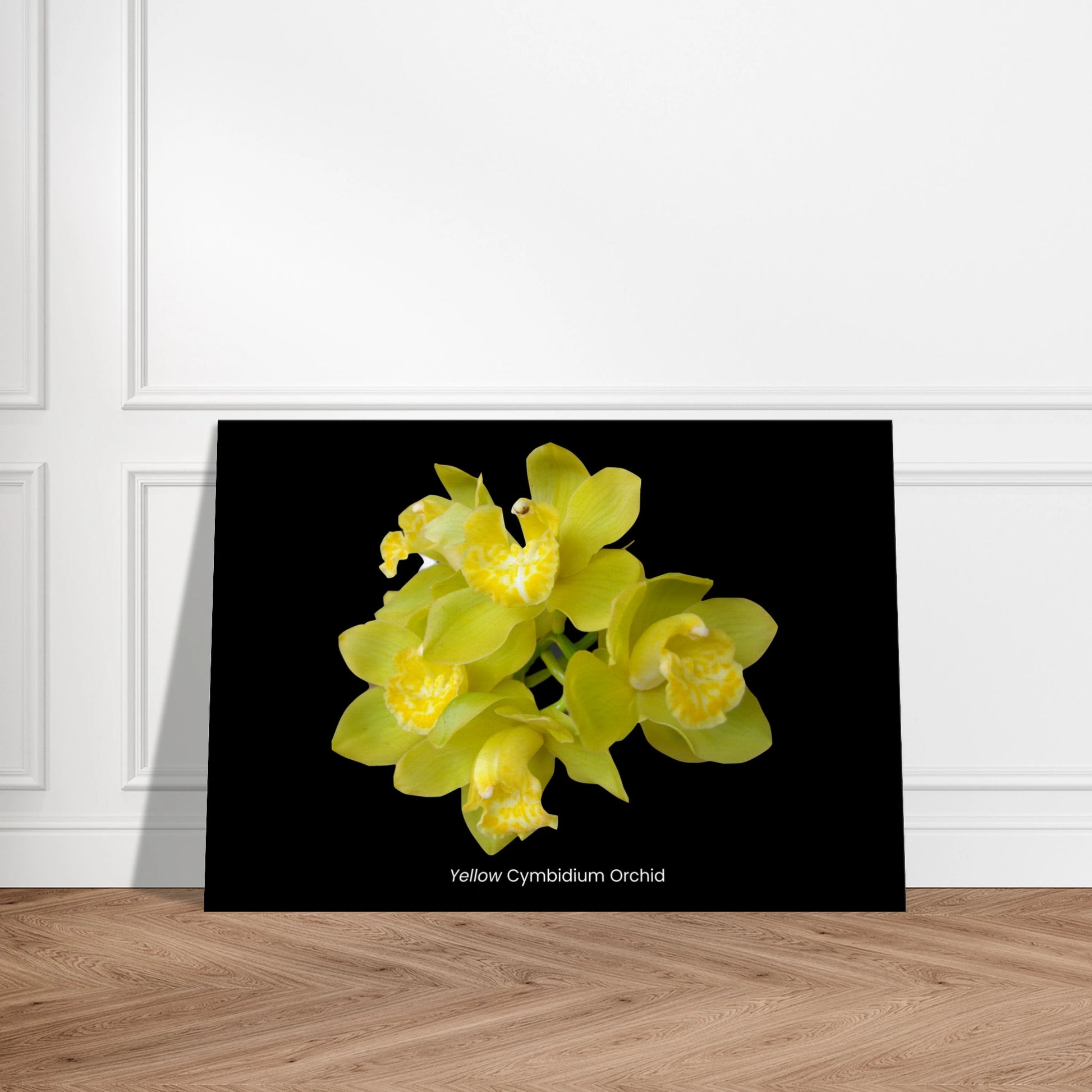 Yellow Cymbidium Orchid Canvas Print